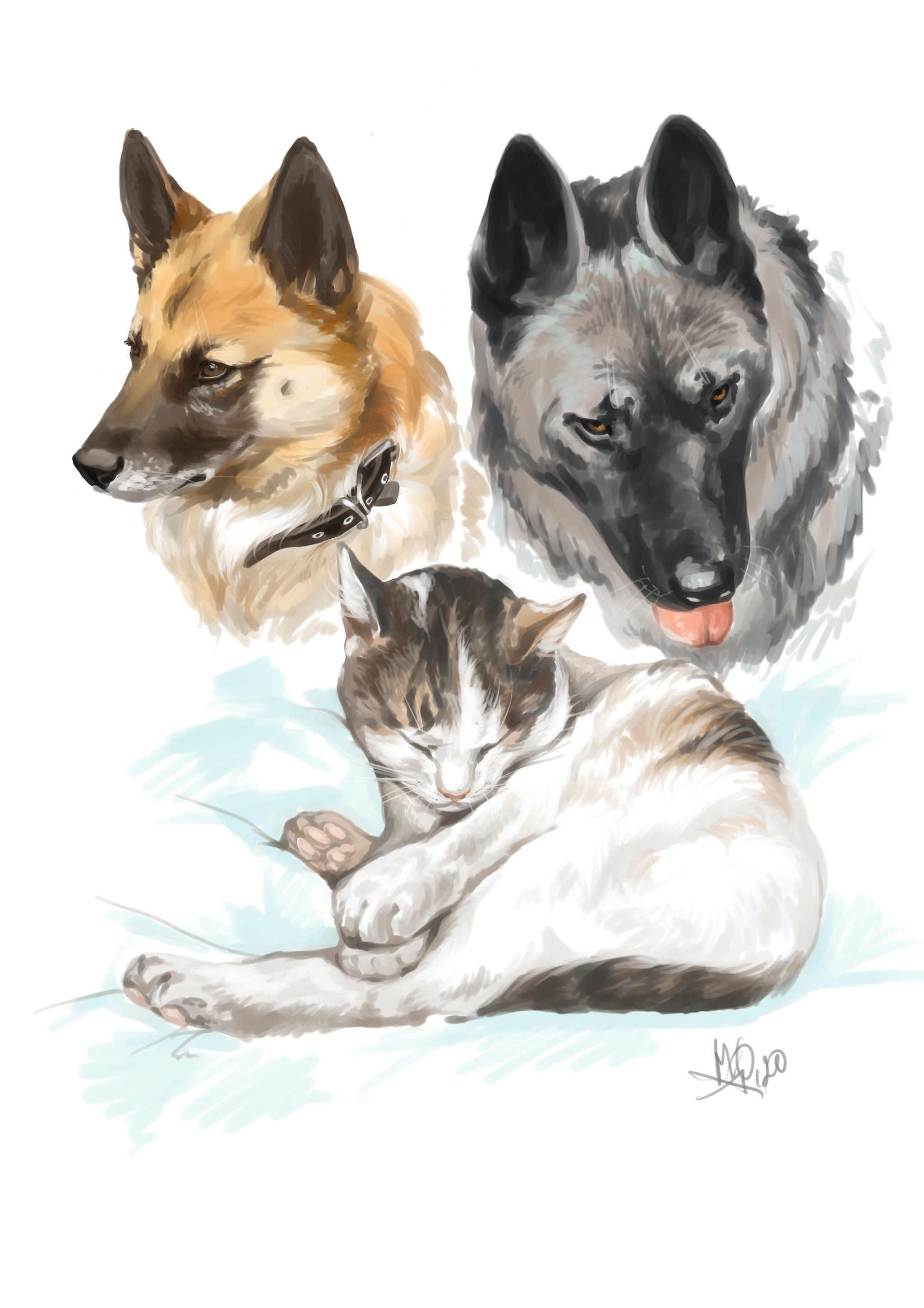 Pet portrait for helping shelter pets, what do you think of the idea? - My, Art, Portrait, Pets, Drawing, Help, cat, Dog, Kittens