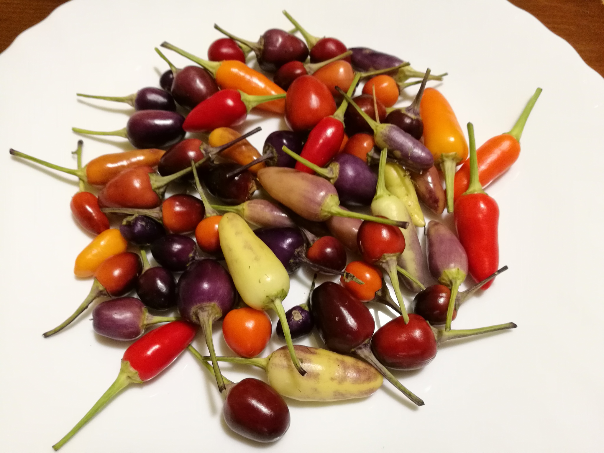 Harvest of hot peppers - Harvest, Pepper, Hot peppers