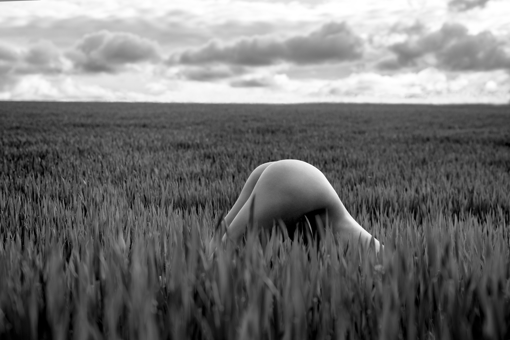 Every hunter wants to know... - NSFW, My, Field, Black and white, I want criticism, The photo, Professional shooting