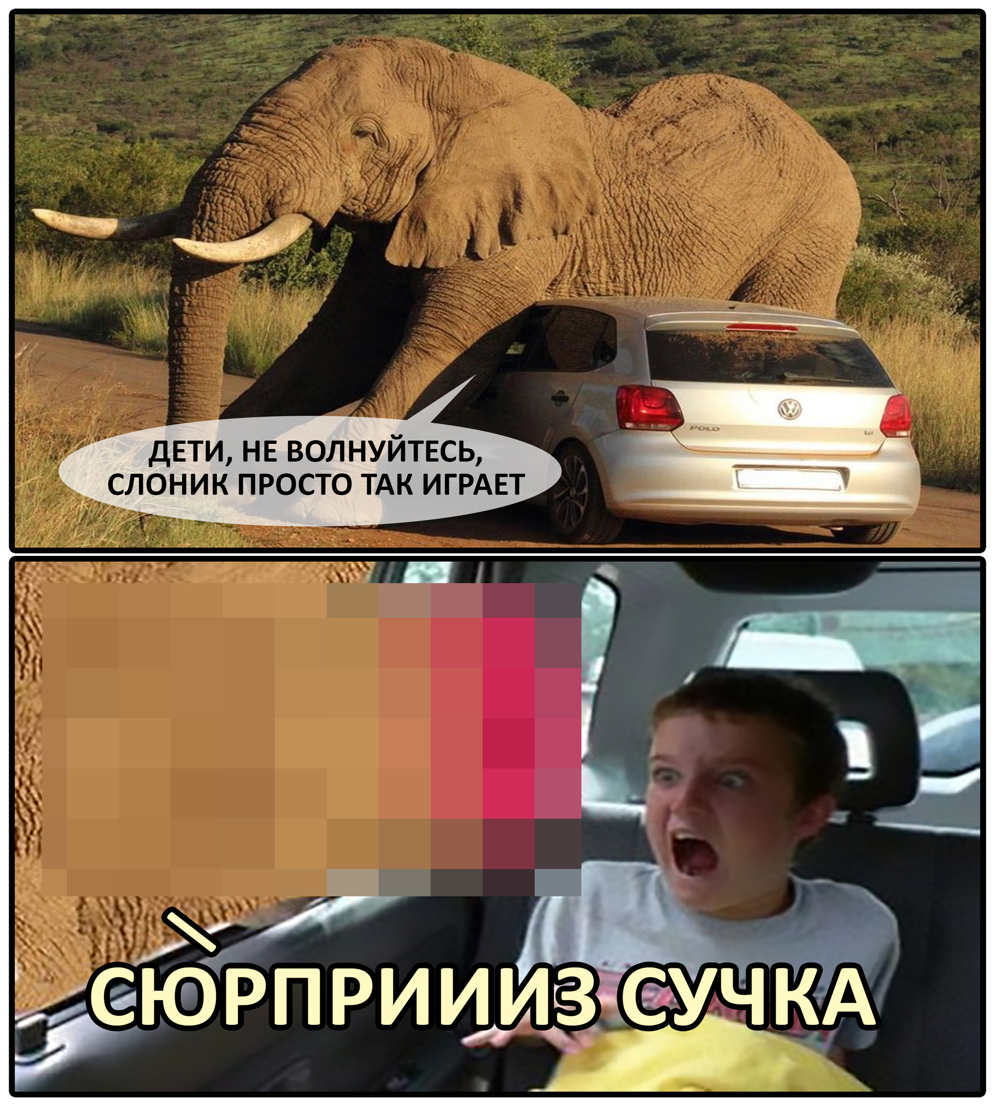 Мемы про слонов