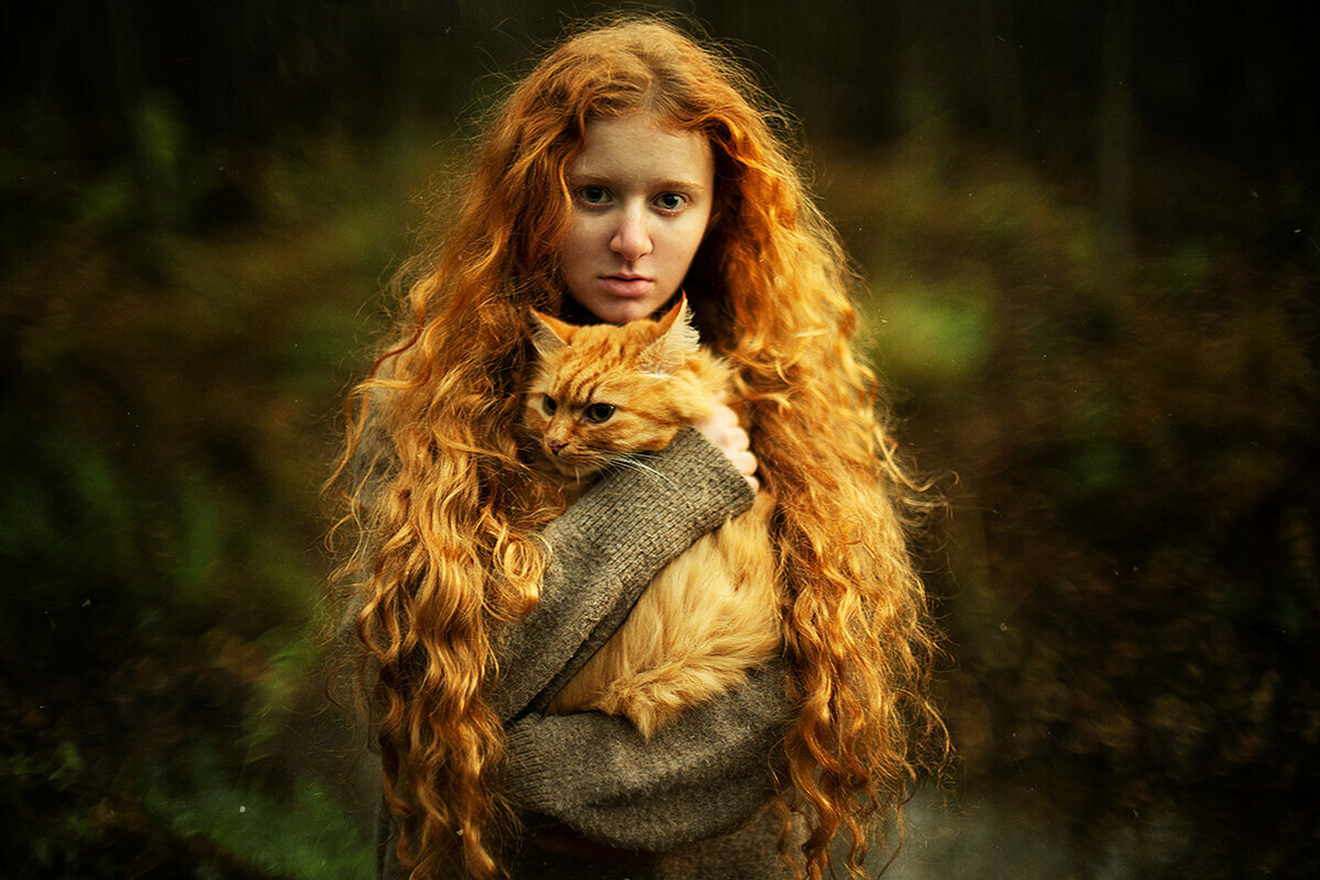 We're the same blood - Animals, The photo, Video, Longpost, Fox, Redheads, cat, Lynx, Owl, Dog