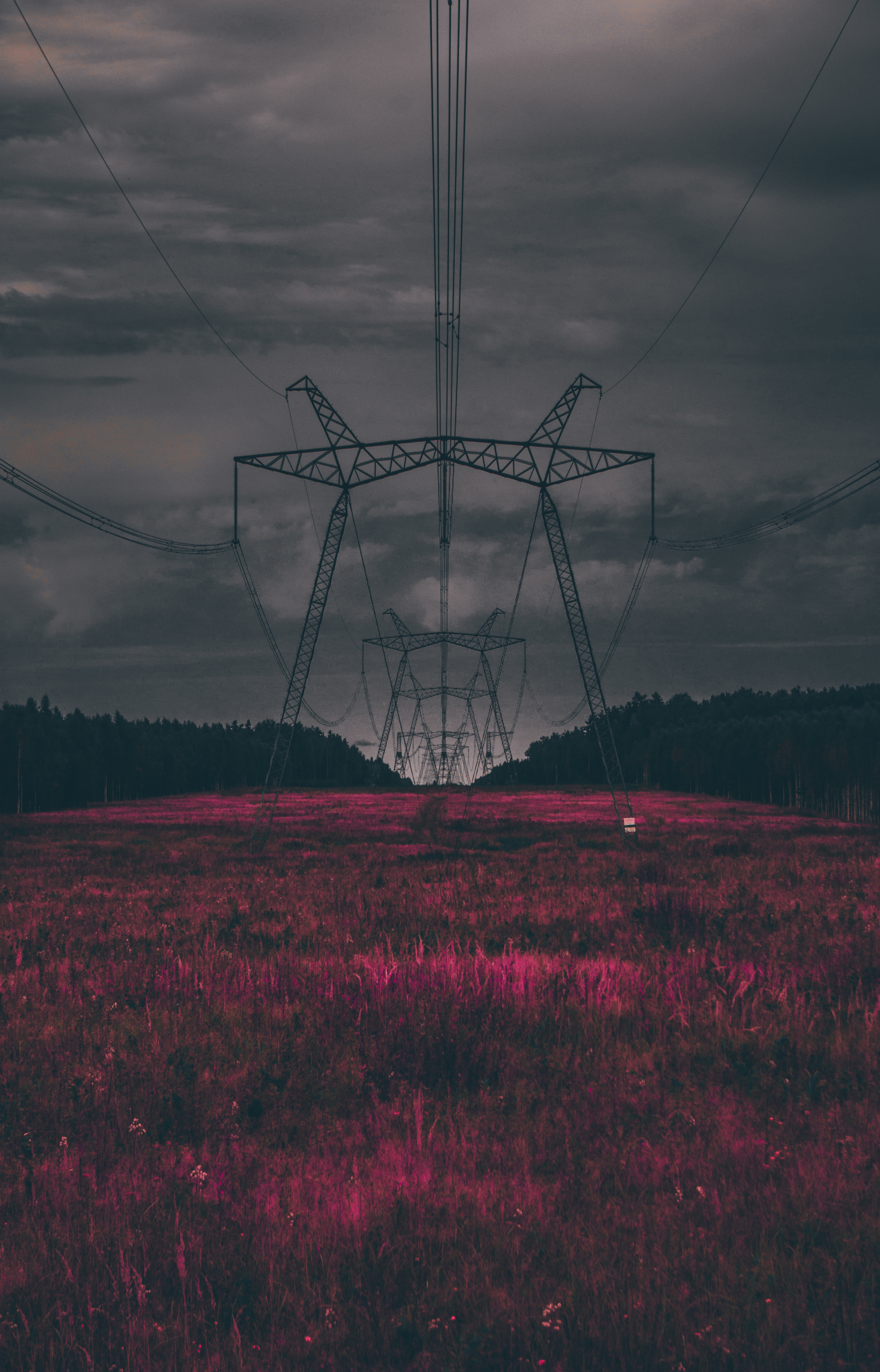 Power lines - My, The photo, Photo processing, Lightroom, Symmetry, Pentax, Power lines