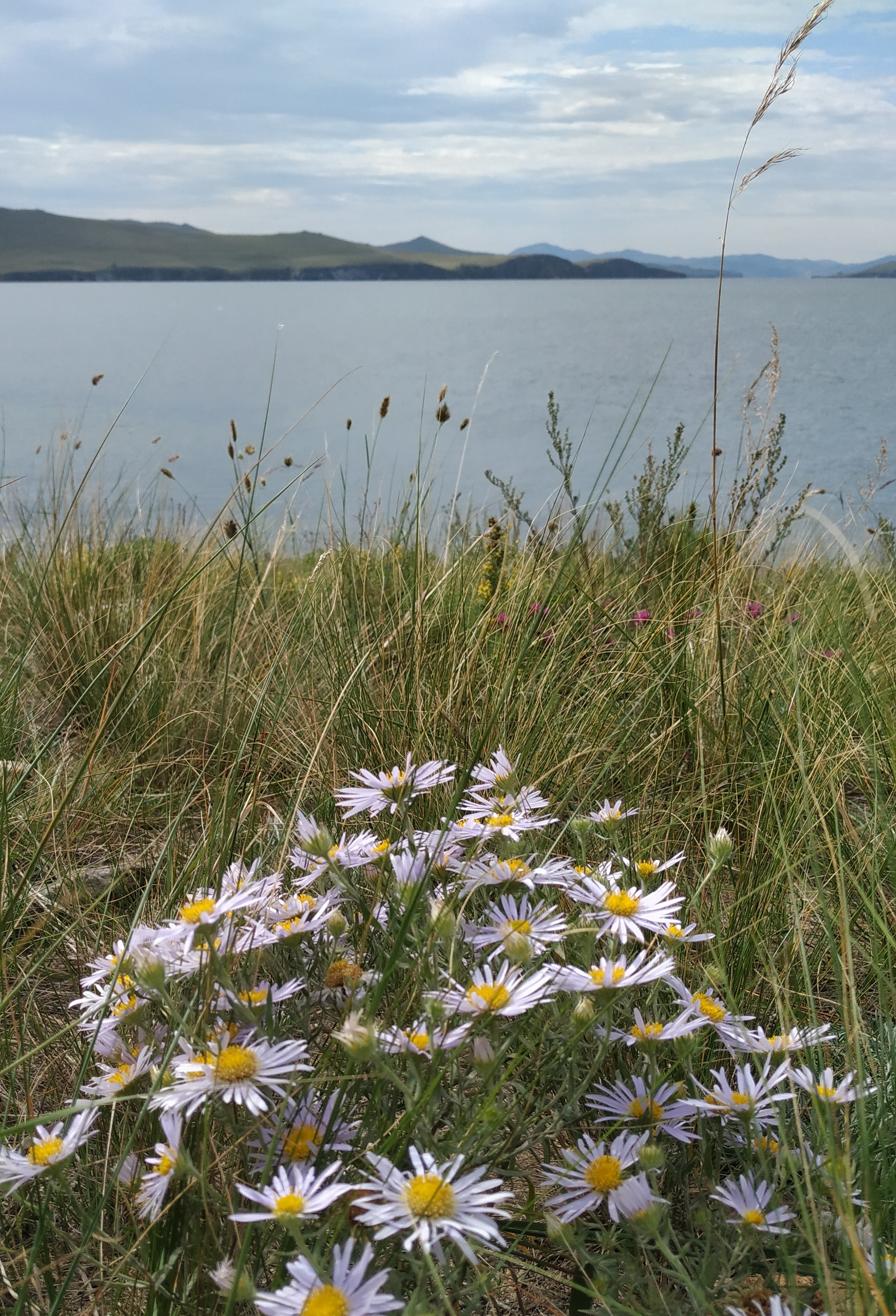 OGOY ISLAND (Baikal) - My, Baikal, Lake, Travel across Russia, Family holiday, Island, Uninhabited island, Small Sea, Longpost, Nature