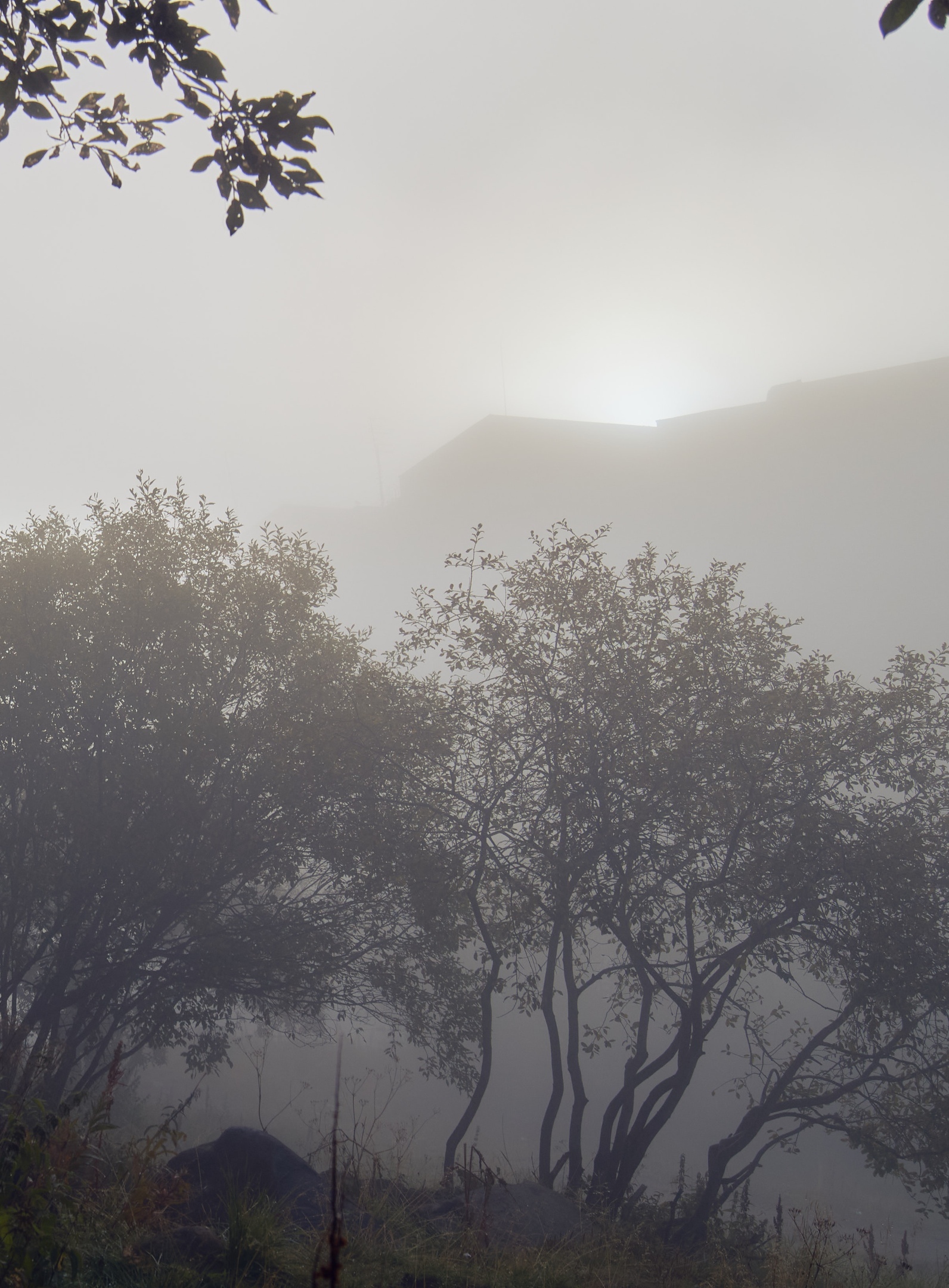 Morning autumn fog in Murmansk - My, The photo, Fog, Longpost, Murmansk