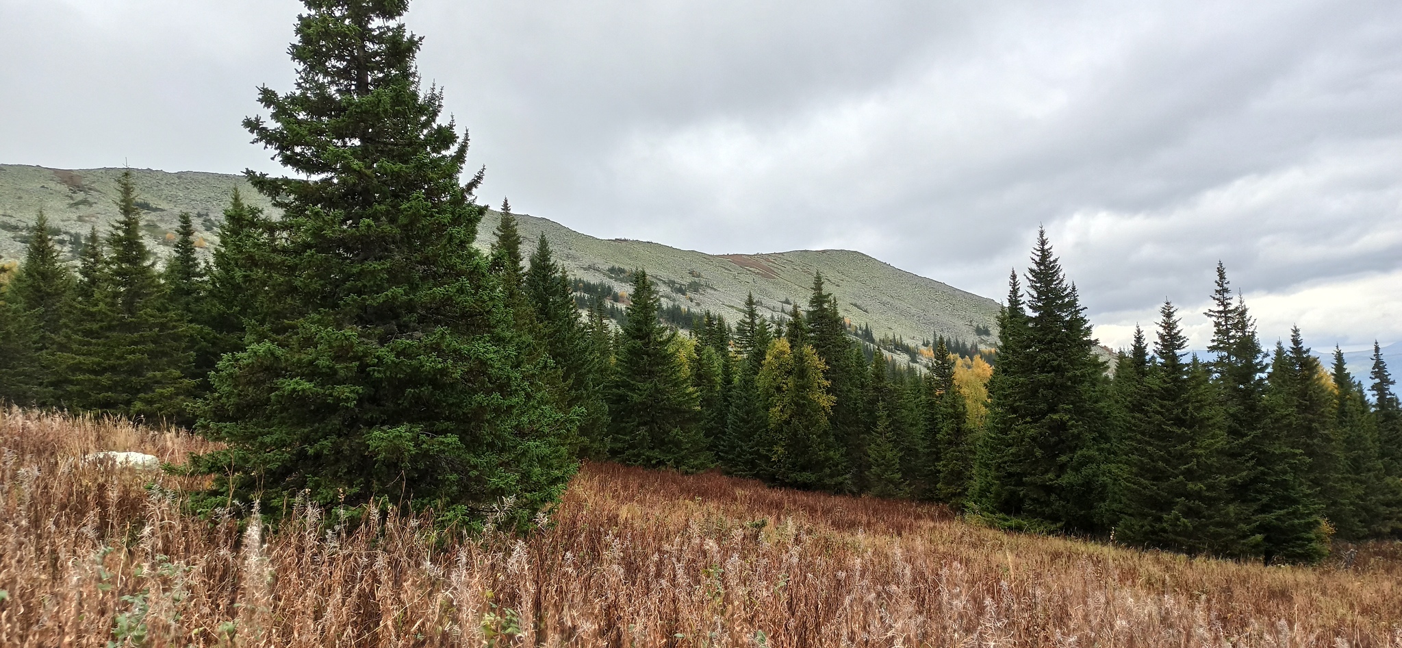 Mount Iremel - My, The mountains, Ural mountains, Nature, Tourism, Longpost