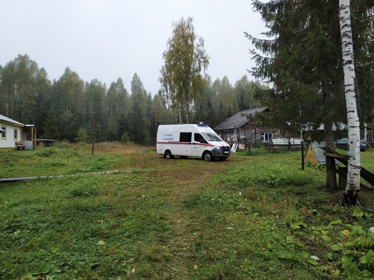 Search for missing people. A month in the forest. Found alive - People search, Pso, Forest, Arkhangelsk region, Positive, Longpost