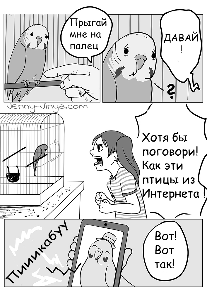 We are the answer... - A parrot, Comics, Longpost, JennyJinya, Negative