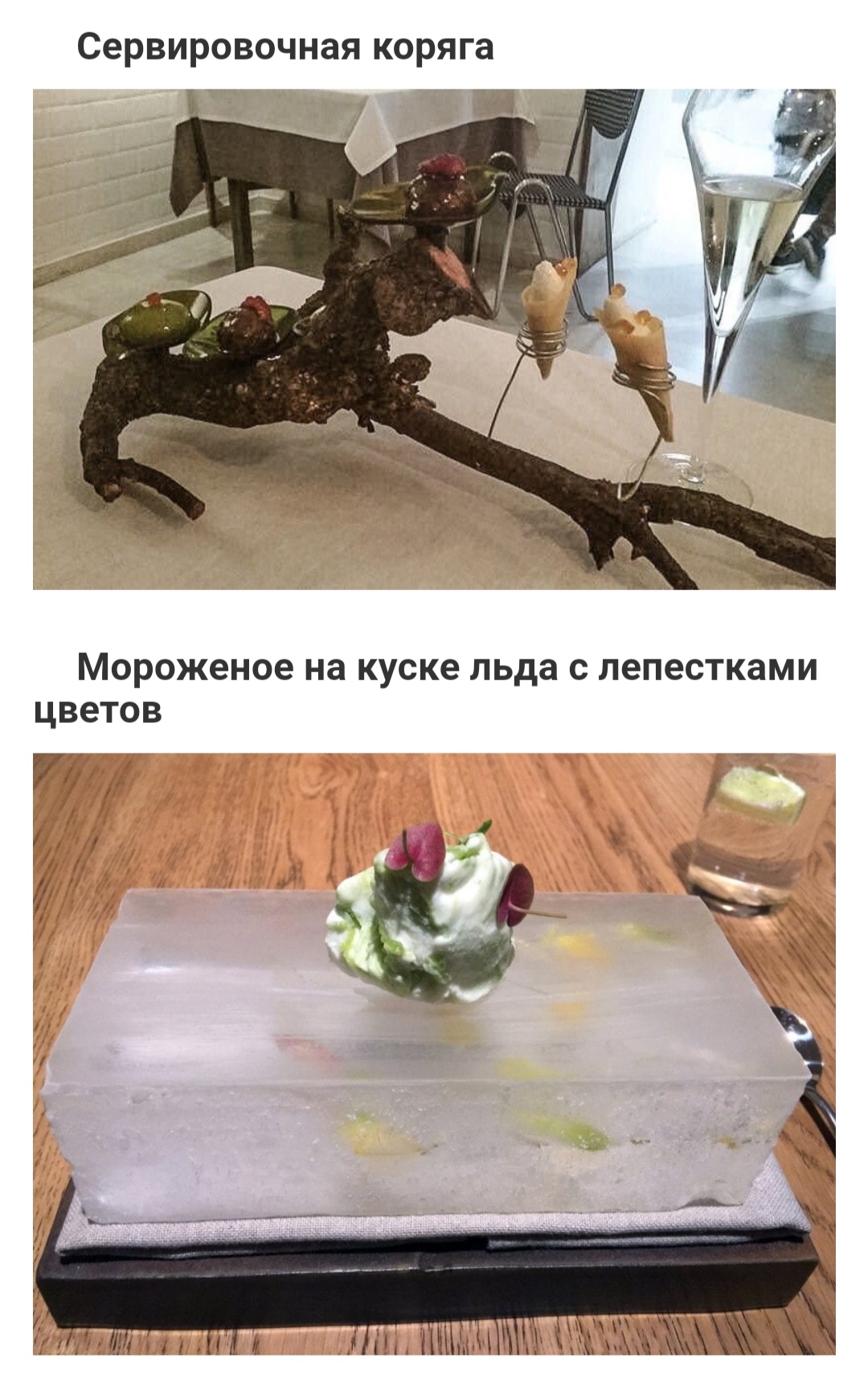 Unusual serving of food and drinks in restaurants - Food, Dish, Cocktail, A restaurant, Innings, Creative, Оригинально, Cooking, Yummy, Longpost