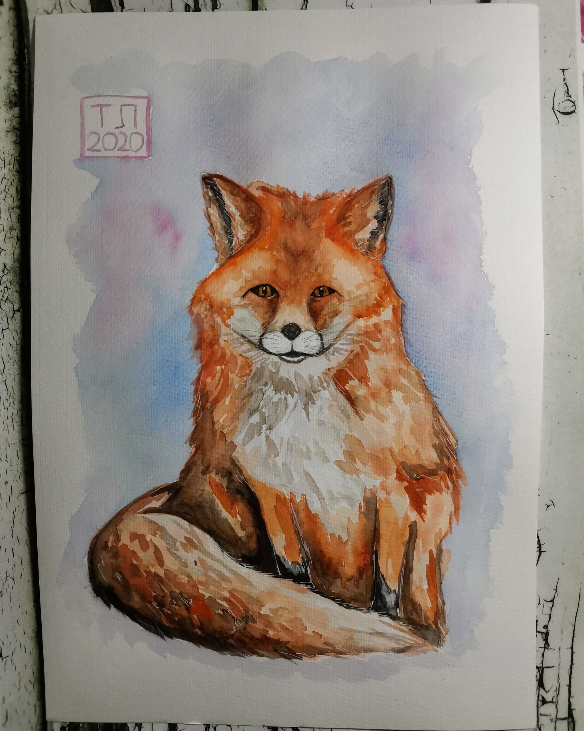 Sister fox