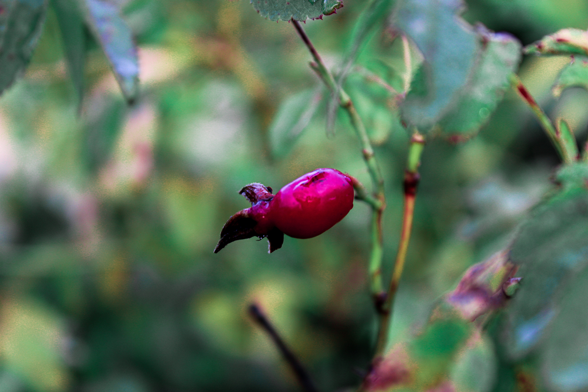 Волшебство мира вокруг | Пикабу