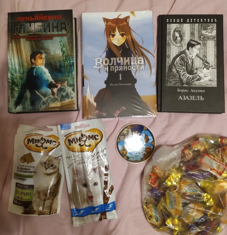 Book turn 2.0. Belgorod-Moscow - My, Books, Presents, Sweets, Gift exchange