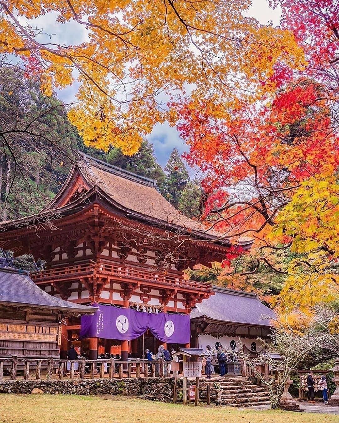 Autumn in Japan - Autumn, Japan, The photo, Nature, Temple, Alley, The park, Tree, Longpost