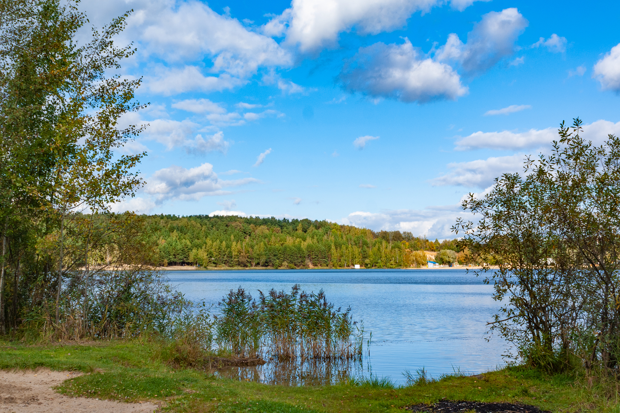 Волкуша