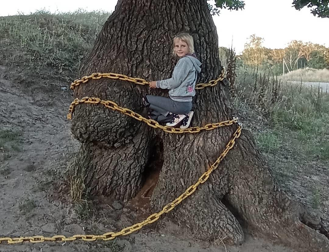 Geocaching. Oak and scientist cat - My, Geocaching, Travels, Longpost