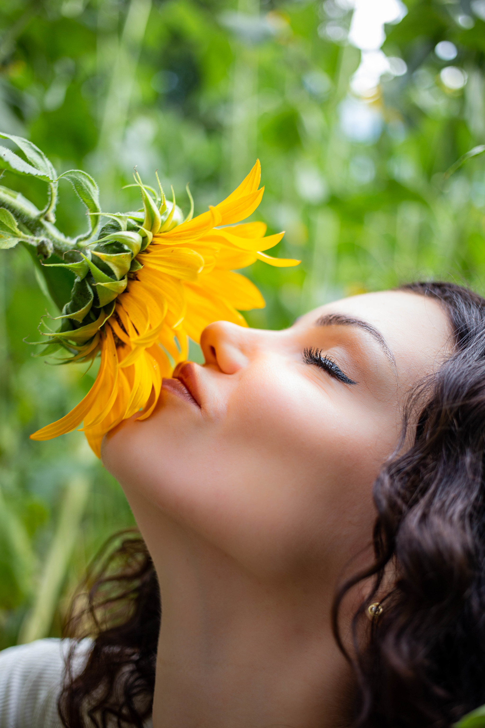 Last summer day - My, The photo, Photographer, Summer, Sunflower, Longpost