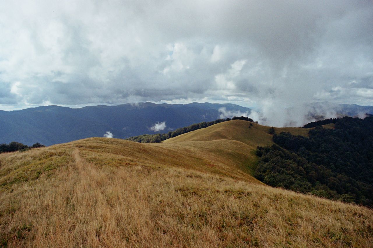 Carpathians (film without processing) - My, Olympus, 35mm, Film, Carpathians, Nature, Landscape, The mountains, Longpost