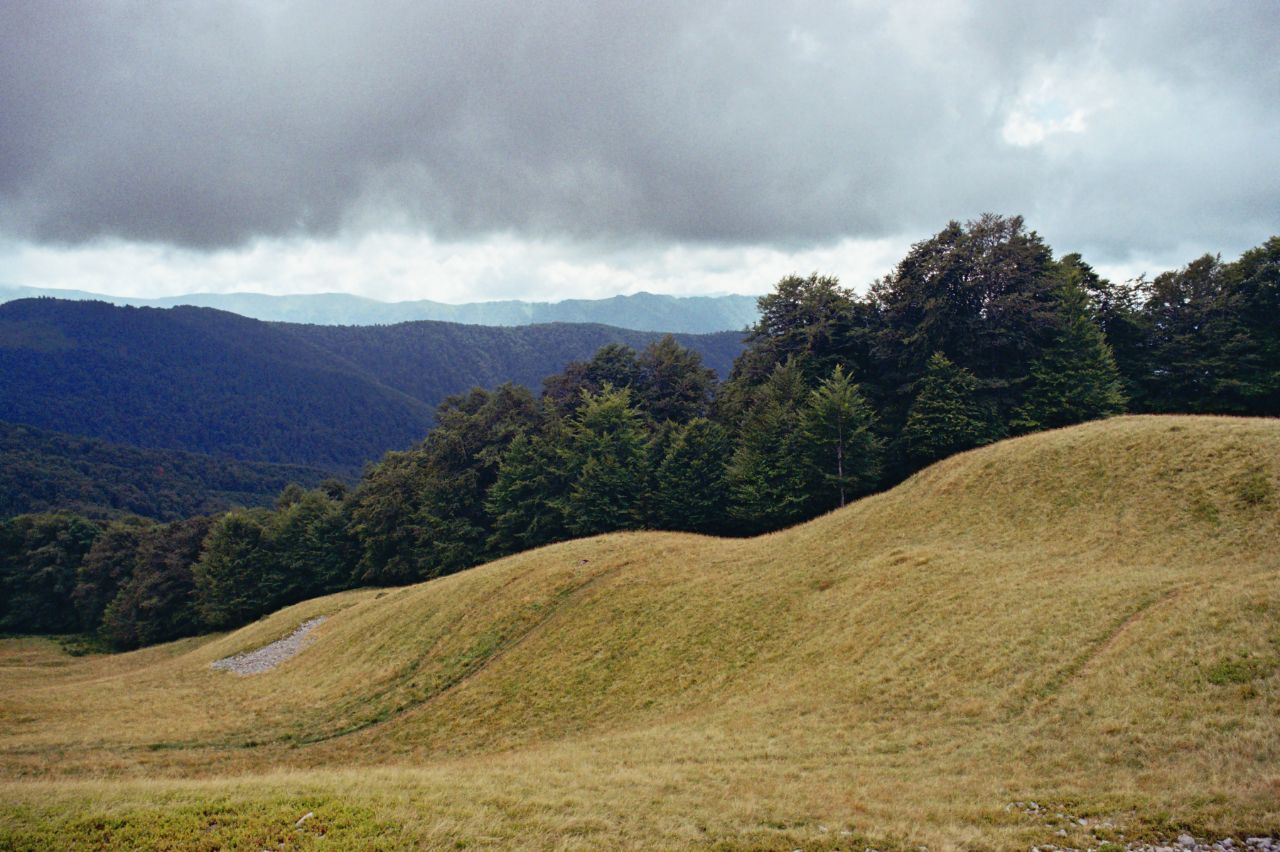 Carpathians (film without processing) - My, Olympus, 35mm, Film, Carpathians, Nature, Landscape, The mountains, Longpost