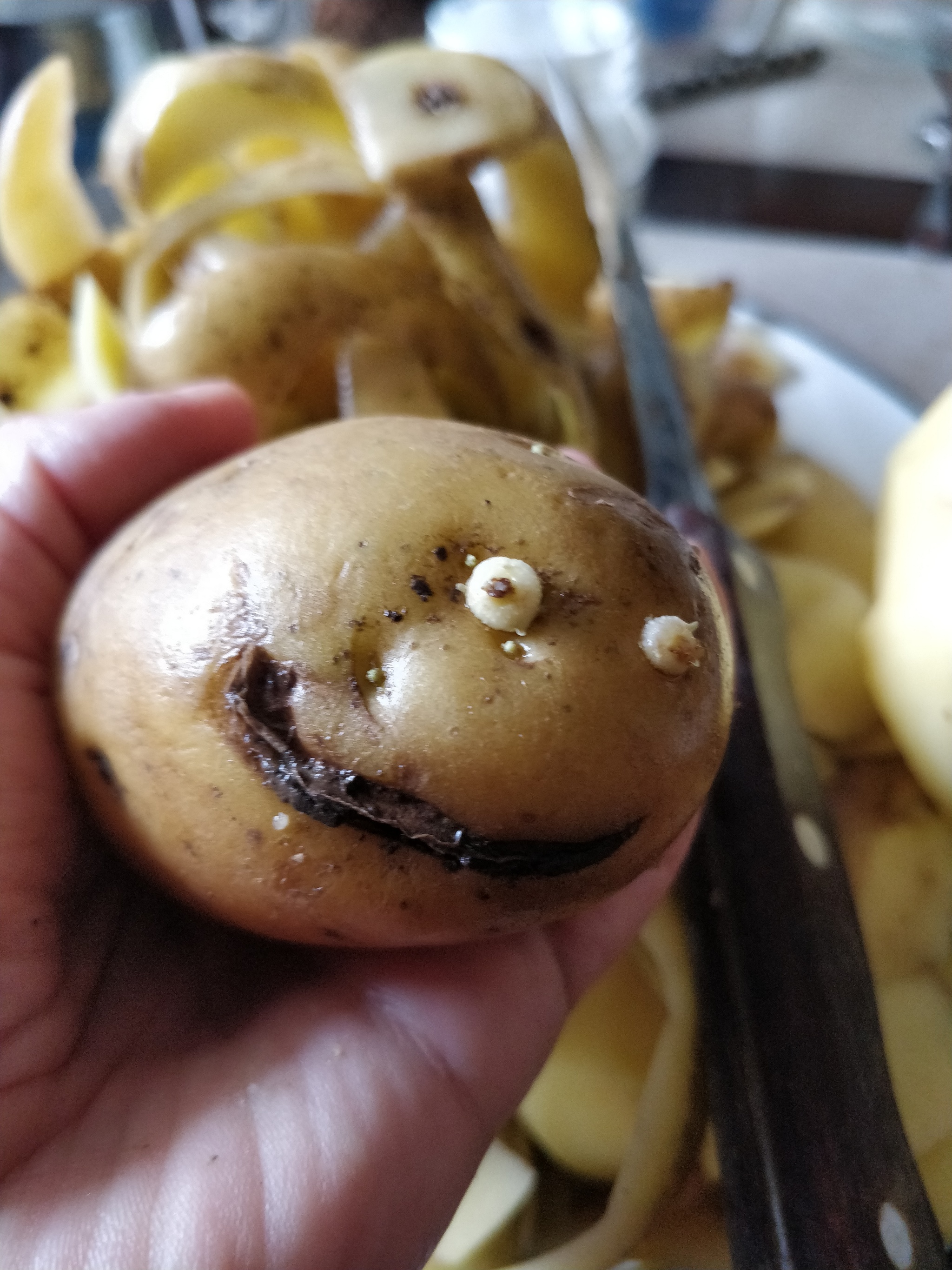 This look... - My, Potato, Sight, Pareidolia, Humor