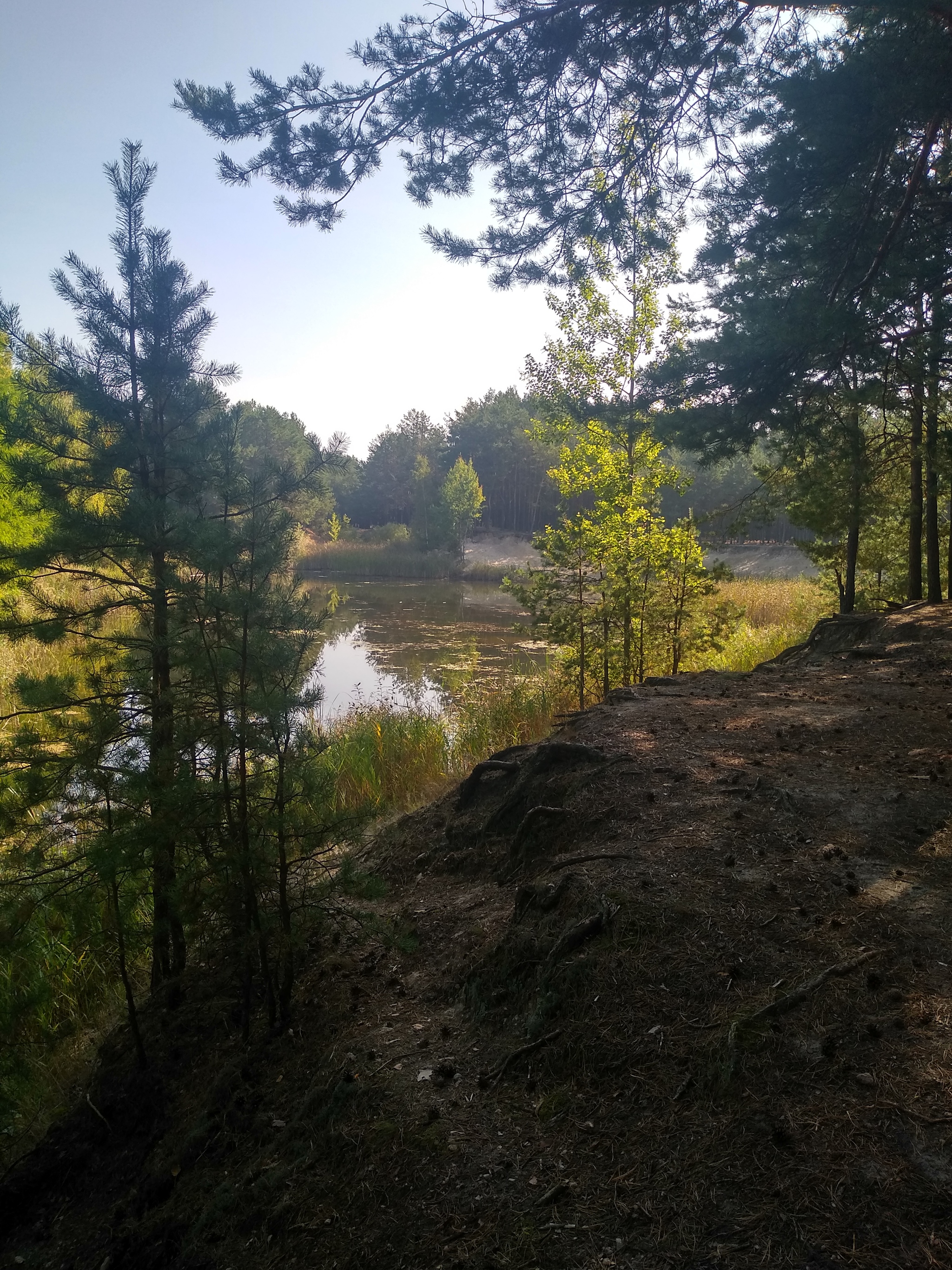 September - My, Brest, Longpost, Autumn, beauty of nature, Nature