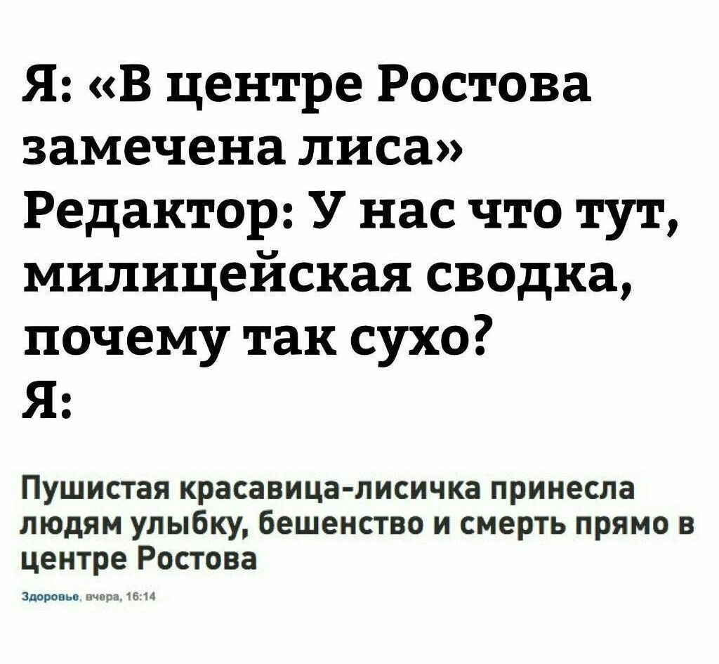 Such news - Fox, news, Editor, Rostov, Picture with text, Humor