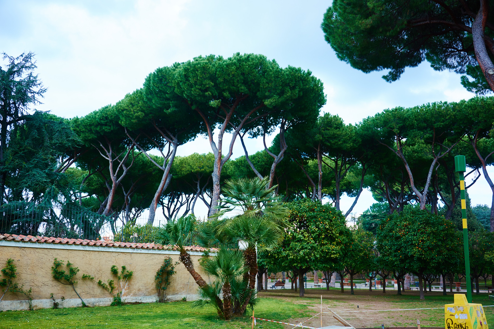 Orange gardens in Rome - My, Rome, Italy, Europe, Orange, Travels, Longpost