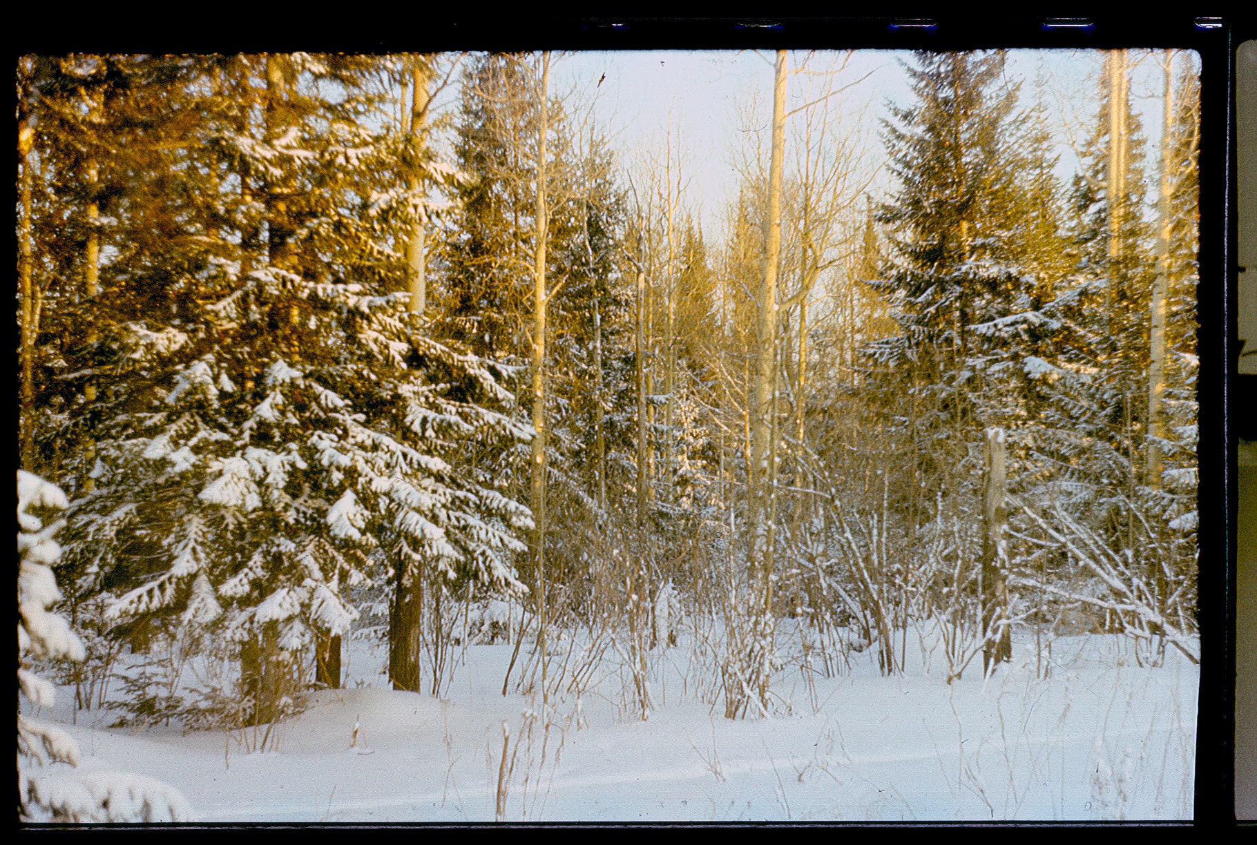 Winter 1991 // New future - My, Childhood of the 90s, 90th, Back in the 90s, Slides, the USSR, Longpost