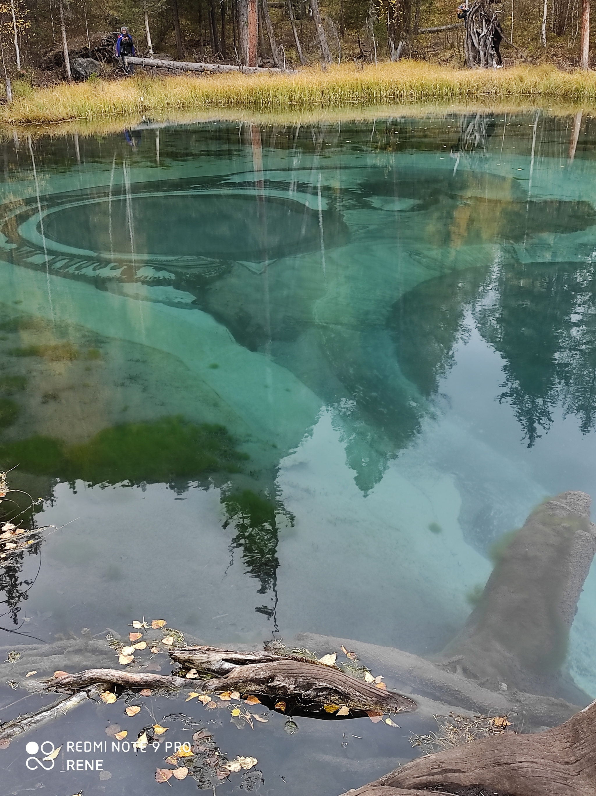 A sudden drive through instead of lakes. Aktash, geyser lake - My, Aktash, Altai Republic, Longpost, Photo on sneaker, Nature, Lake, Geyser Lake