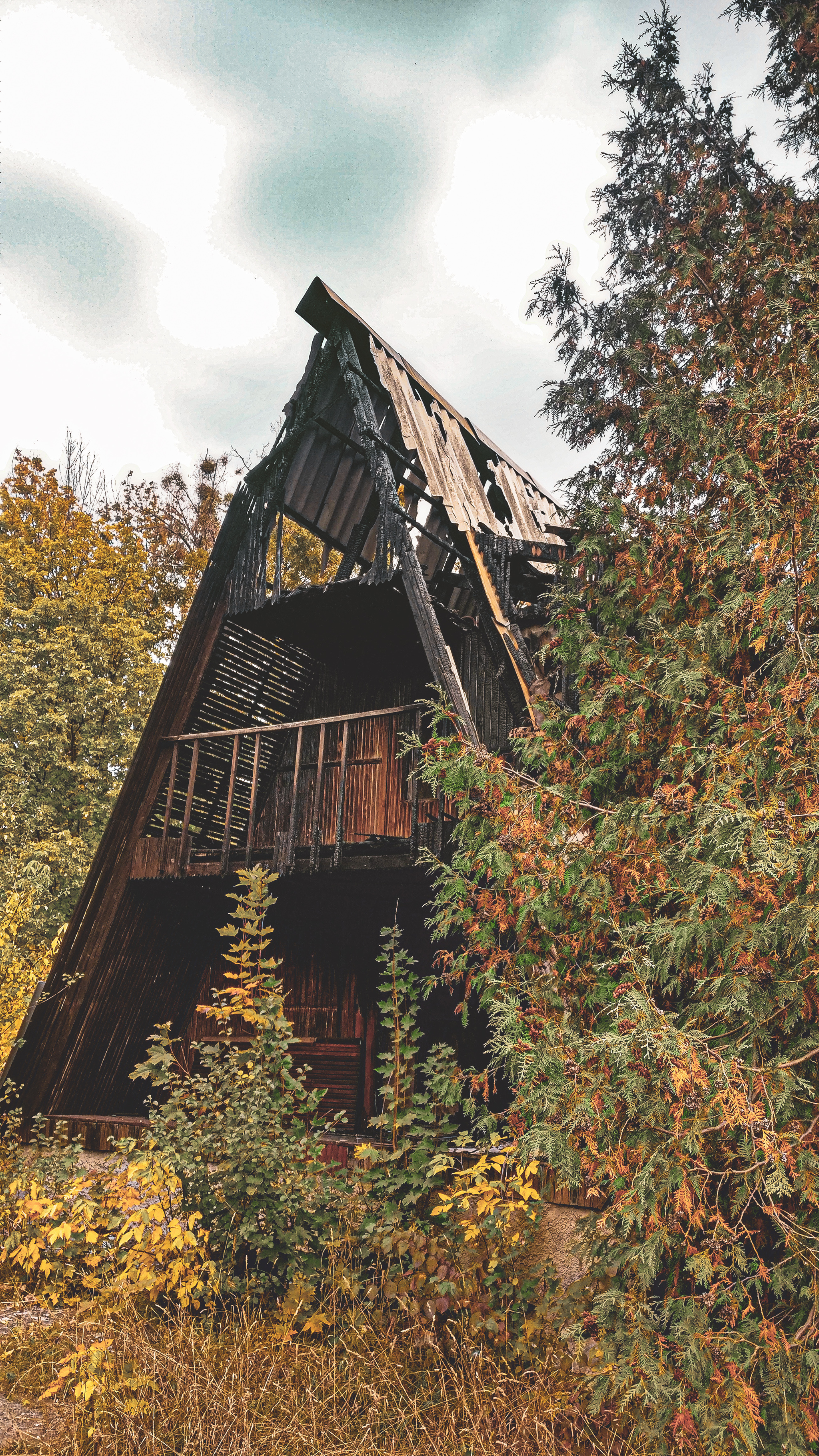 Abandoned sanatorium - My, The photo, Mobile photography, Sanatorium, Abandoned, Autumn, Atmospheric, Longpost