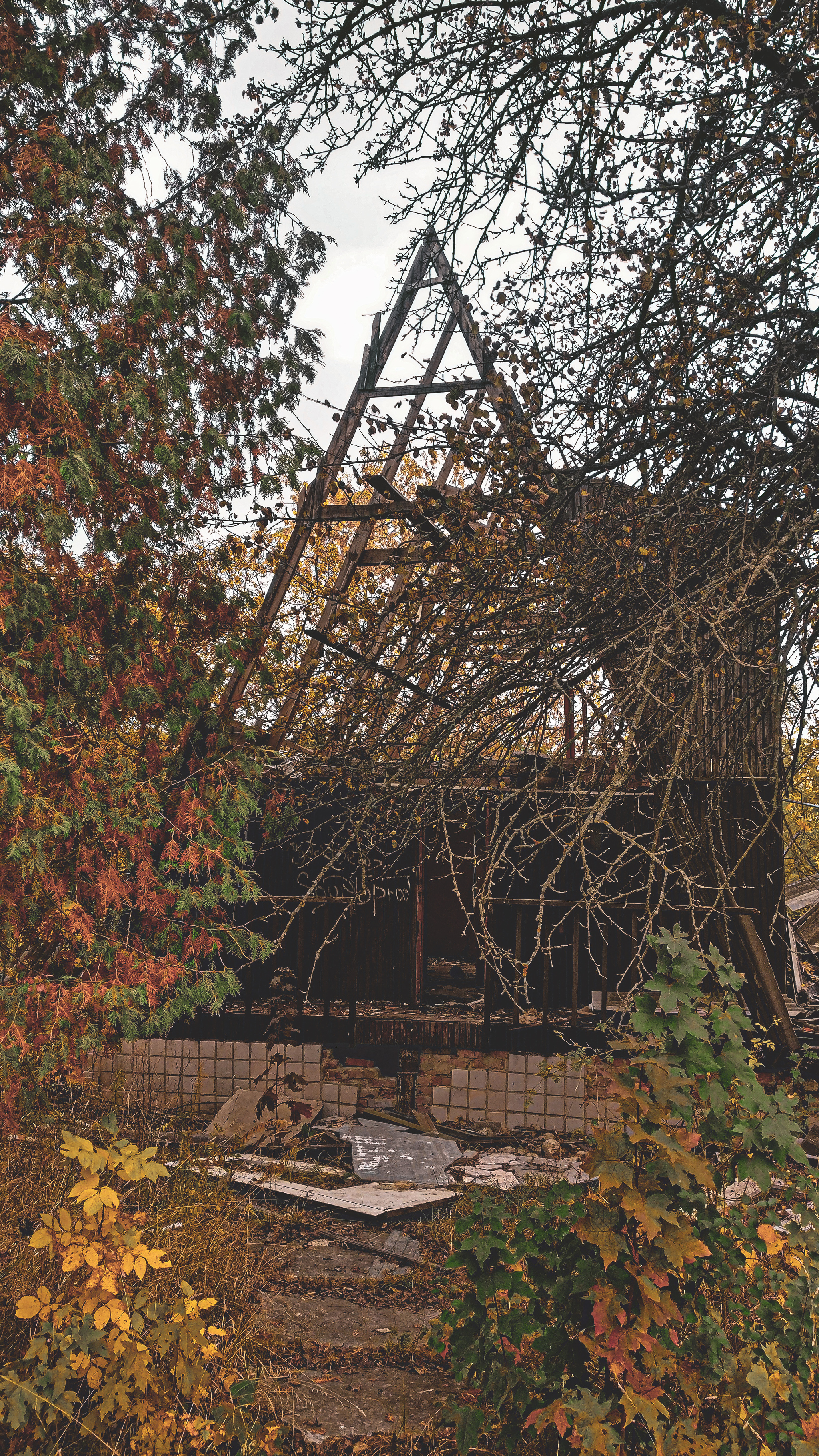 Abandoned sanatorium - My, The photo, Mobile photography, Sanatorium, Abandoned, Autumn, Atmospheric, Longpost