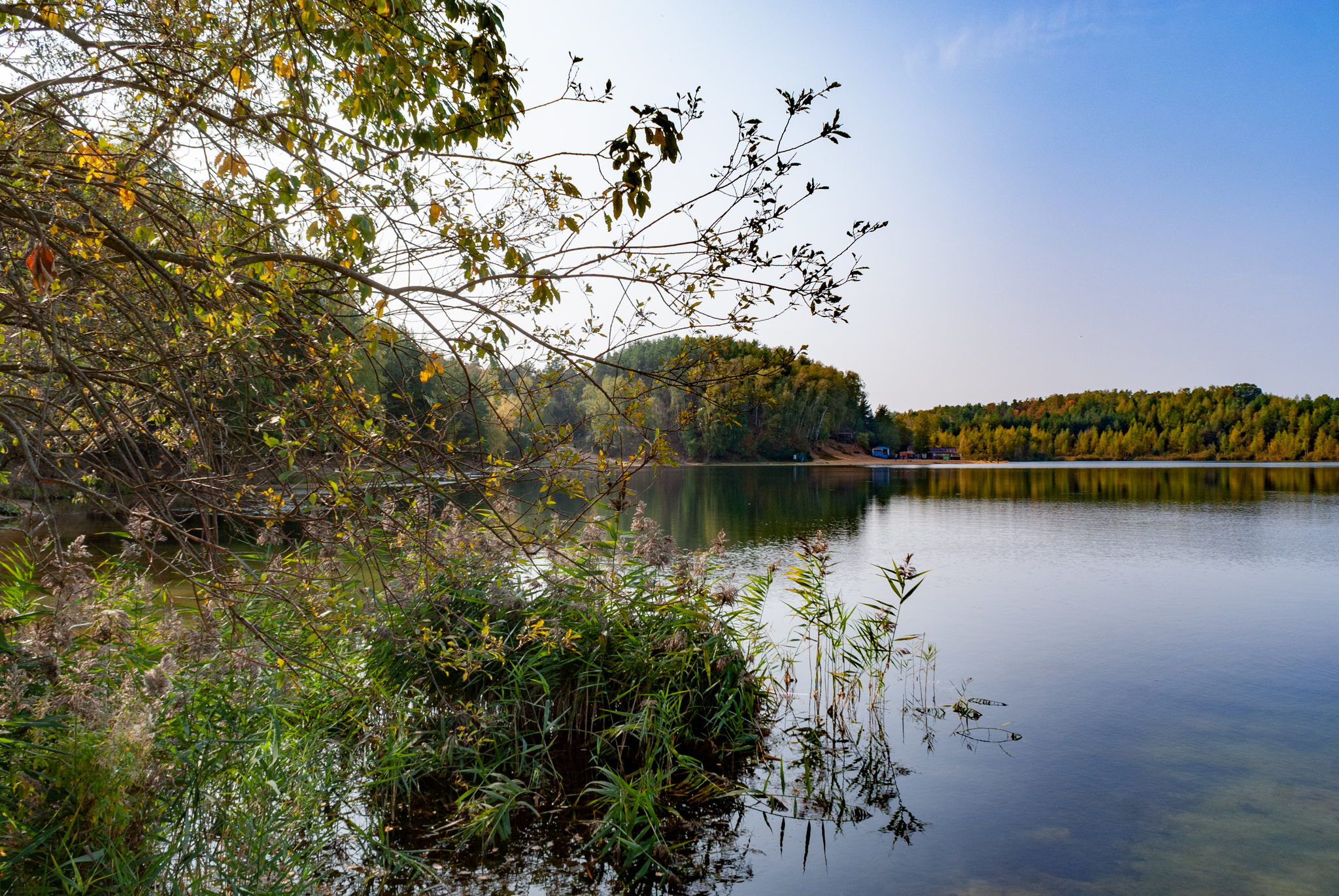 Autumn in the Moscow region - My, The photo, Lytkarino, Autumn, Nature, Moscow region, Longpost, beauty of nature