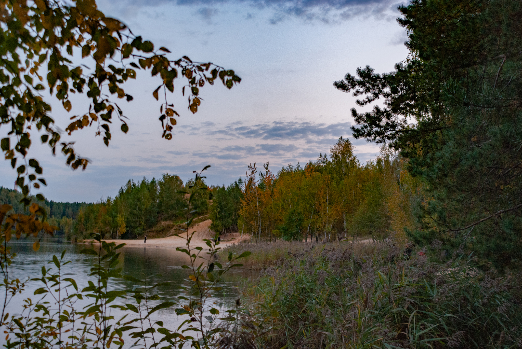 Autumn in the Moscow region - My, The photo, Lytkarino, Autumn, Nature, Moscow region, Longpost, beauty of nature