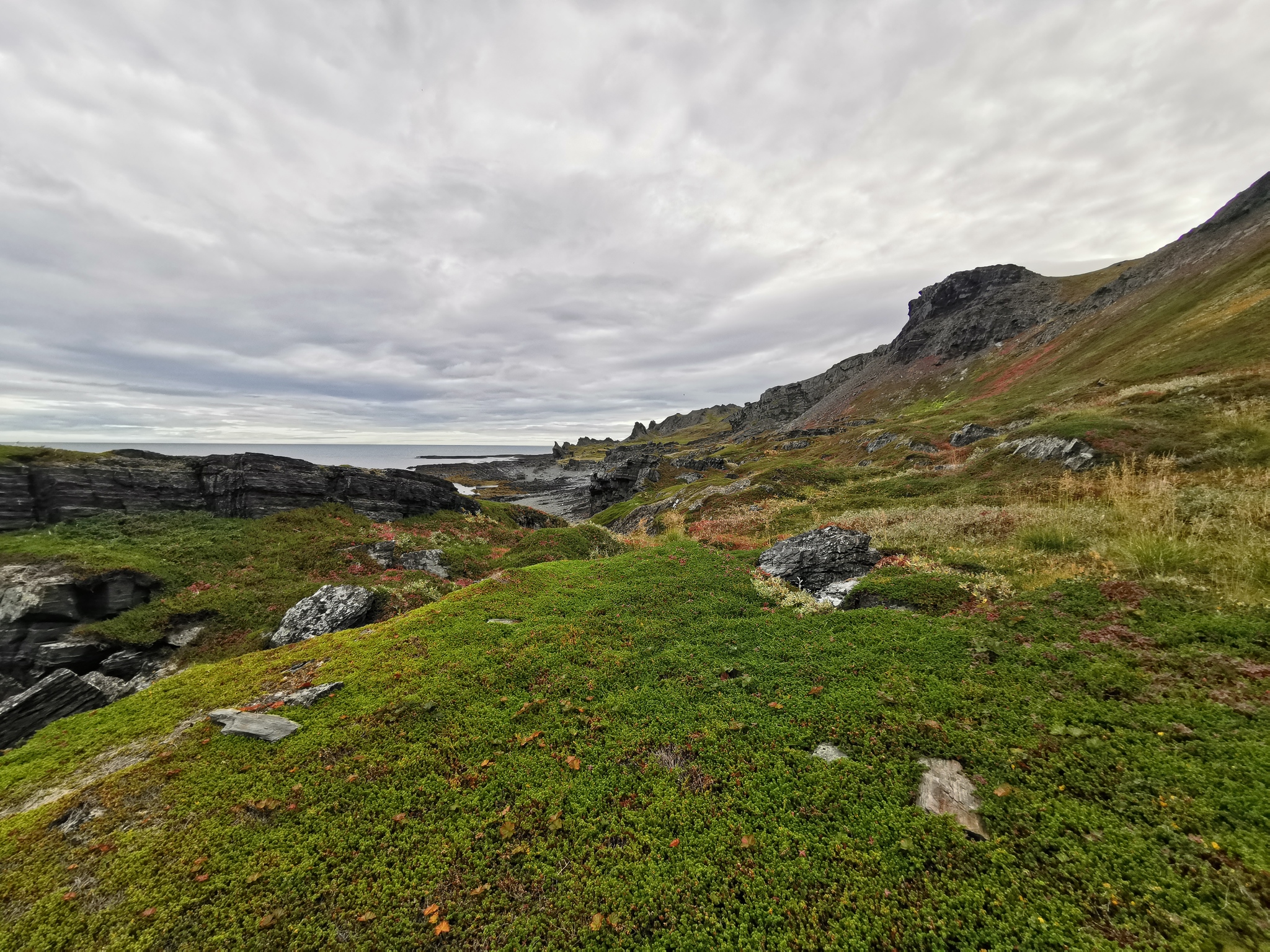 Russia, Rybachy Peninsula - My, North, Murmansk, Rybachy Peninsula, Rybachy Peninsula, Average, Barents Sea, Tundra, Hills, Longpost, The nature of Russia, Travel across Russia