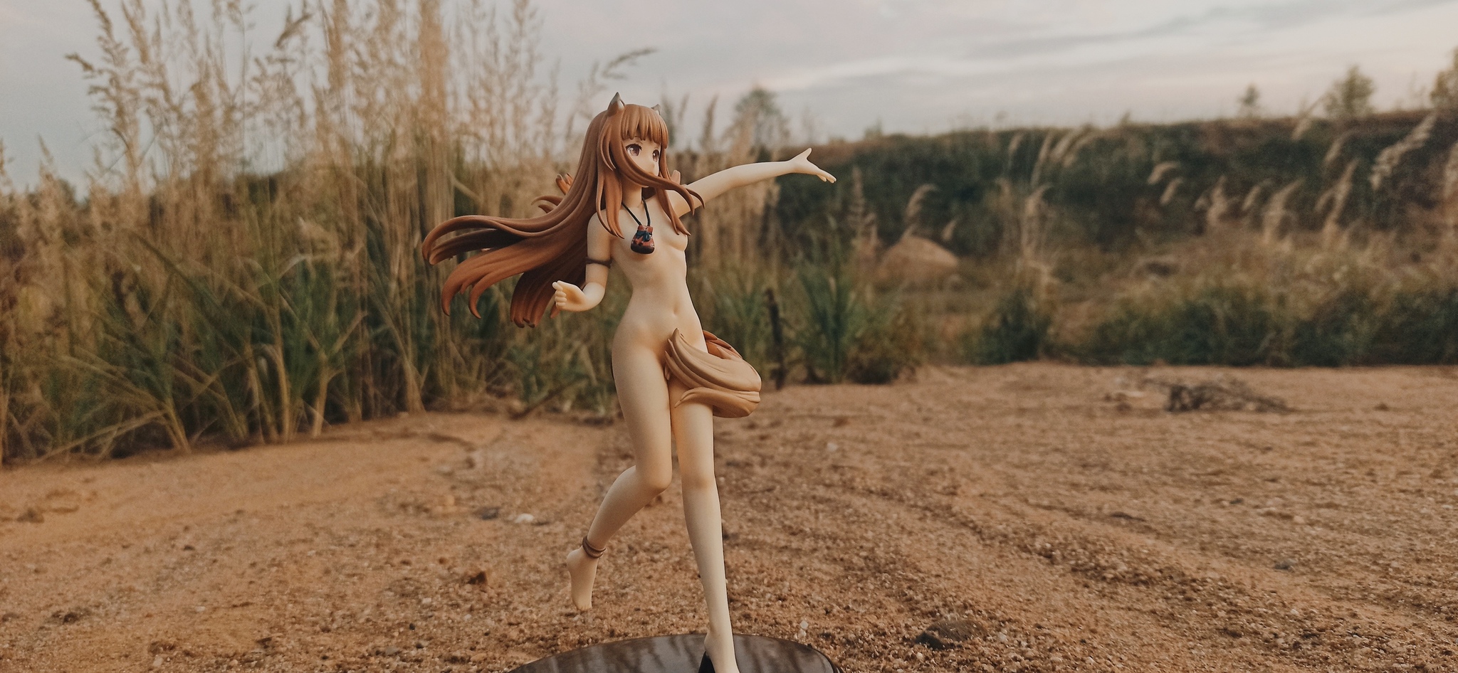 ~вЂў~ The Wolf, the Evening and the Quarry ~вЂў~ - NSFW, My, The photo, Beginning photographer, Anime, Figurines, Collectible figurines, Spice and wolf, Holo, Longpost