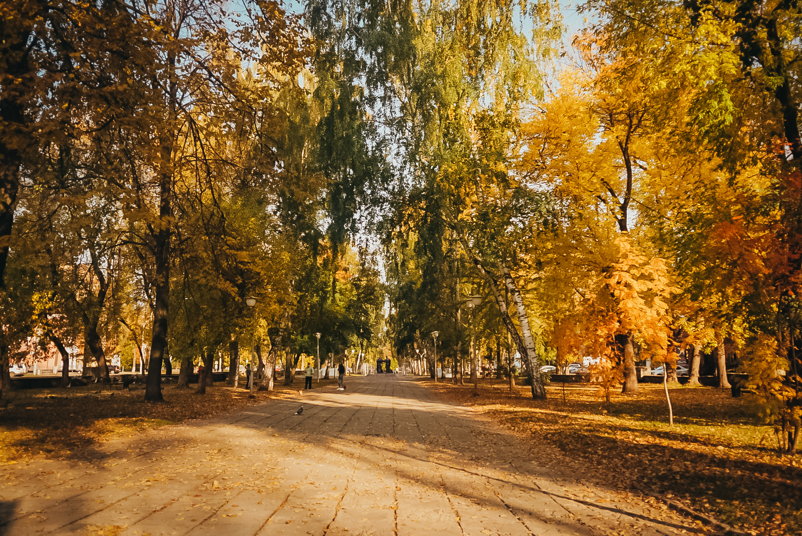 Autumn - My, Autumn, The photo, Permian, Town, Longpost, Autumn leaves