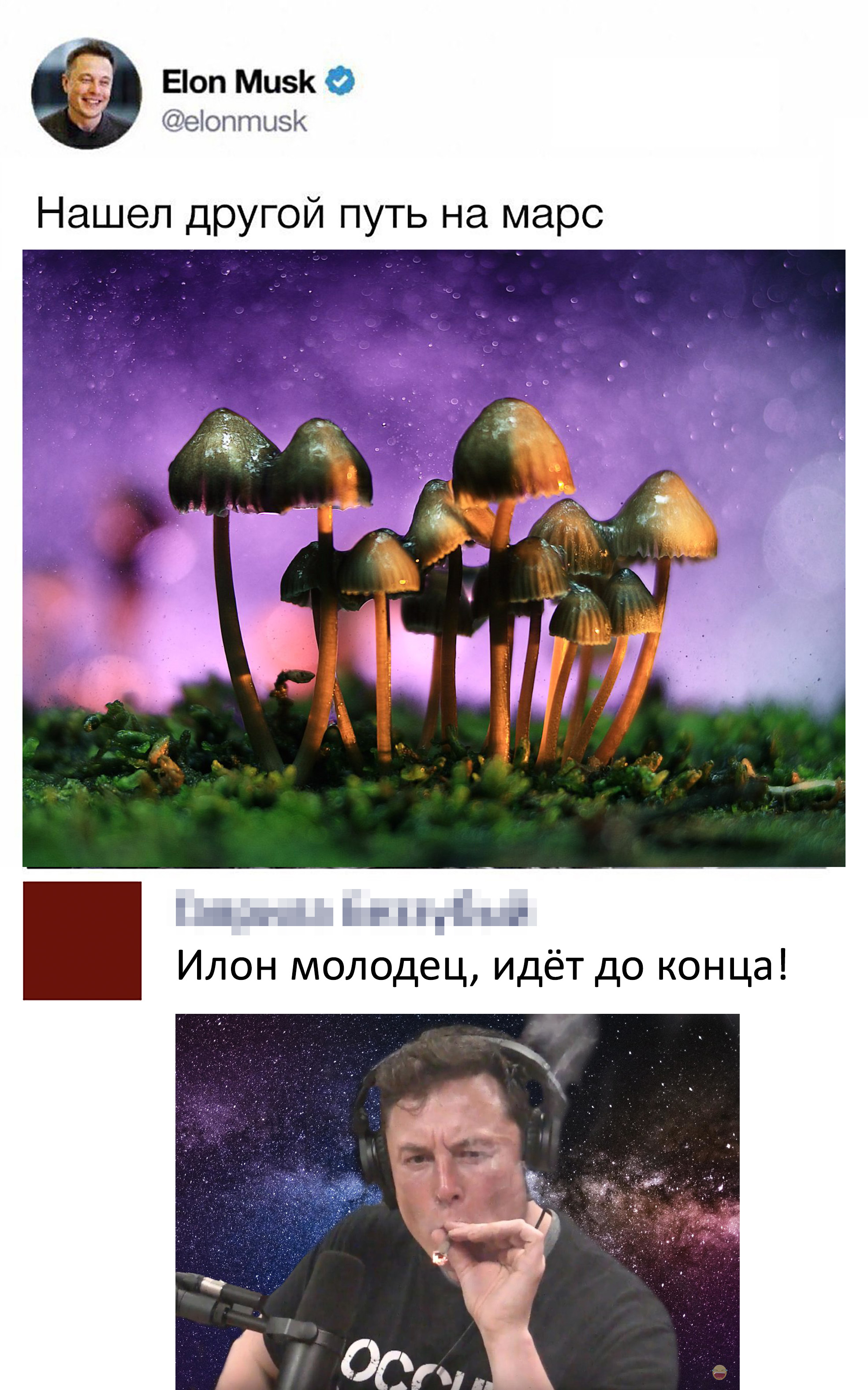 Дасквуд мемы