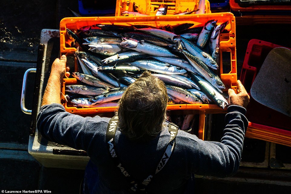 Winners of the British photography competition 'Best Marine Photography' - The photo, Ocean, Longpost