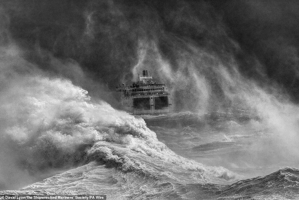 Winners of the British photography competition 'Best Marine Photography' - The photo, Ocean, Longpost