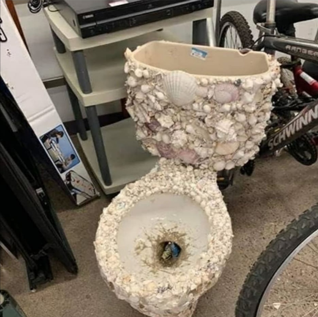 Asshole - Toilet, Decor, Expensive-Rich