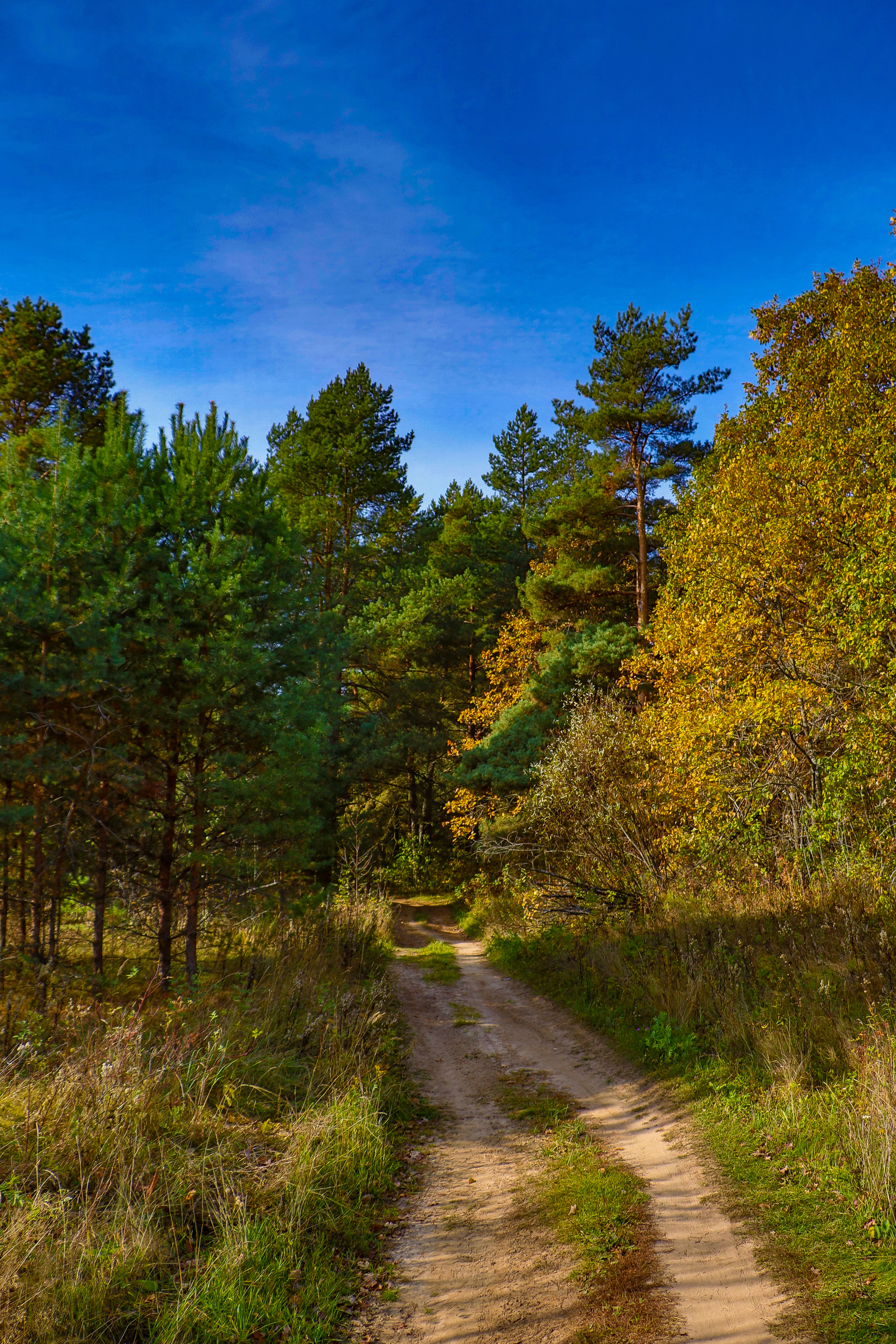 Landscape - My, The photo, Landscape, Autumn, Nature, Canon 800D, HDR, Longpost, Autumn leaves