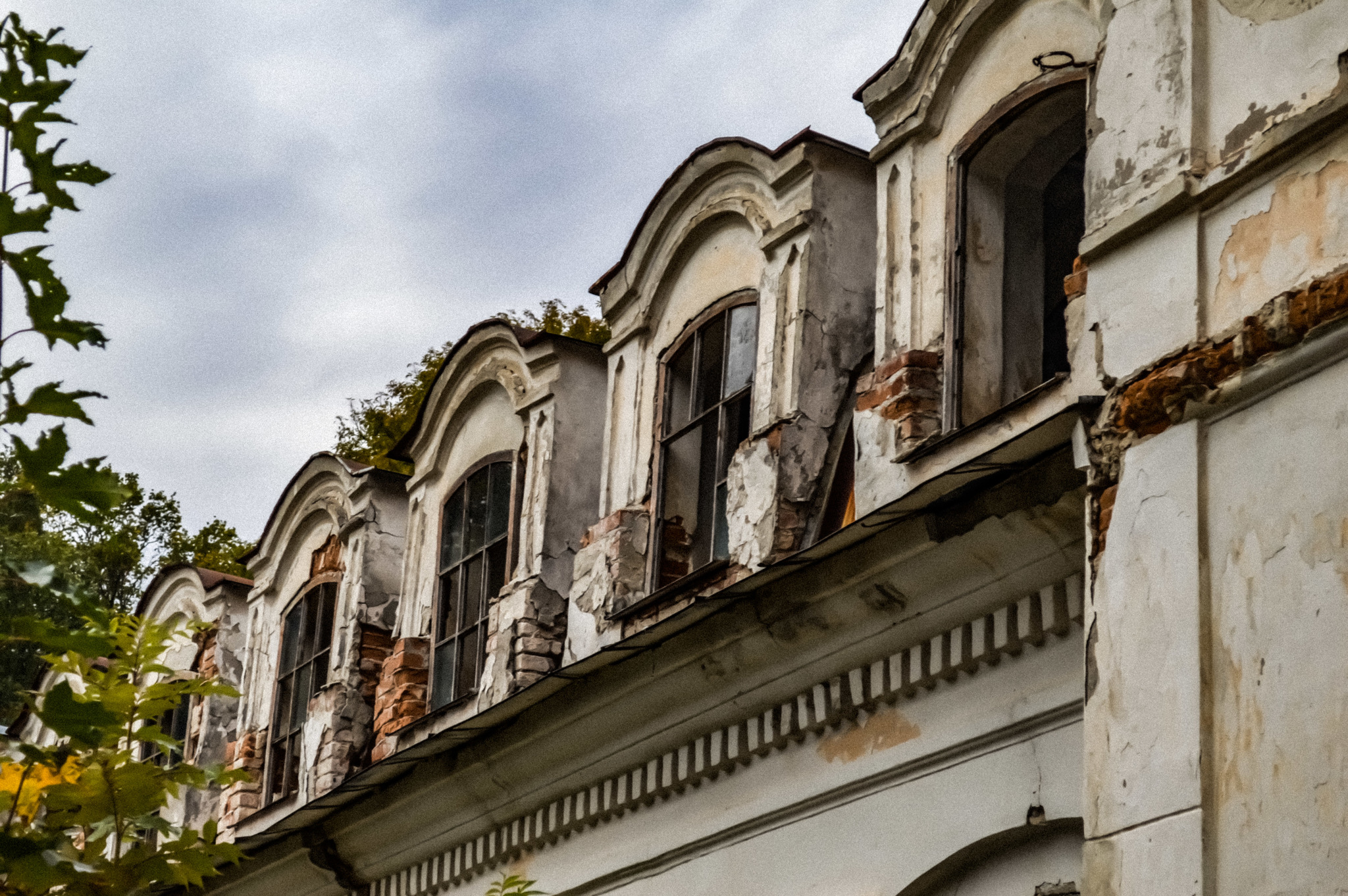 Abandoned estate of the Decembrists of the 18th century - My, The photo, Architecture, Longpost, Abandoned