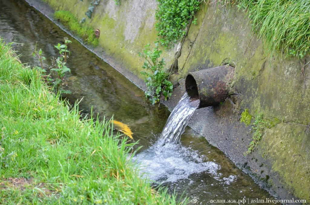 How trout is raised in Adler - My, A fish, Trout, How is it done, Longpost, Breeding