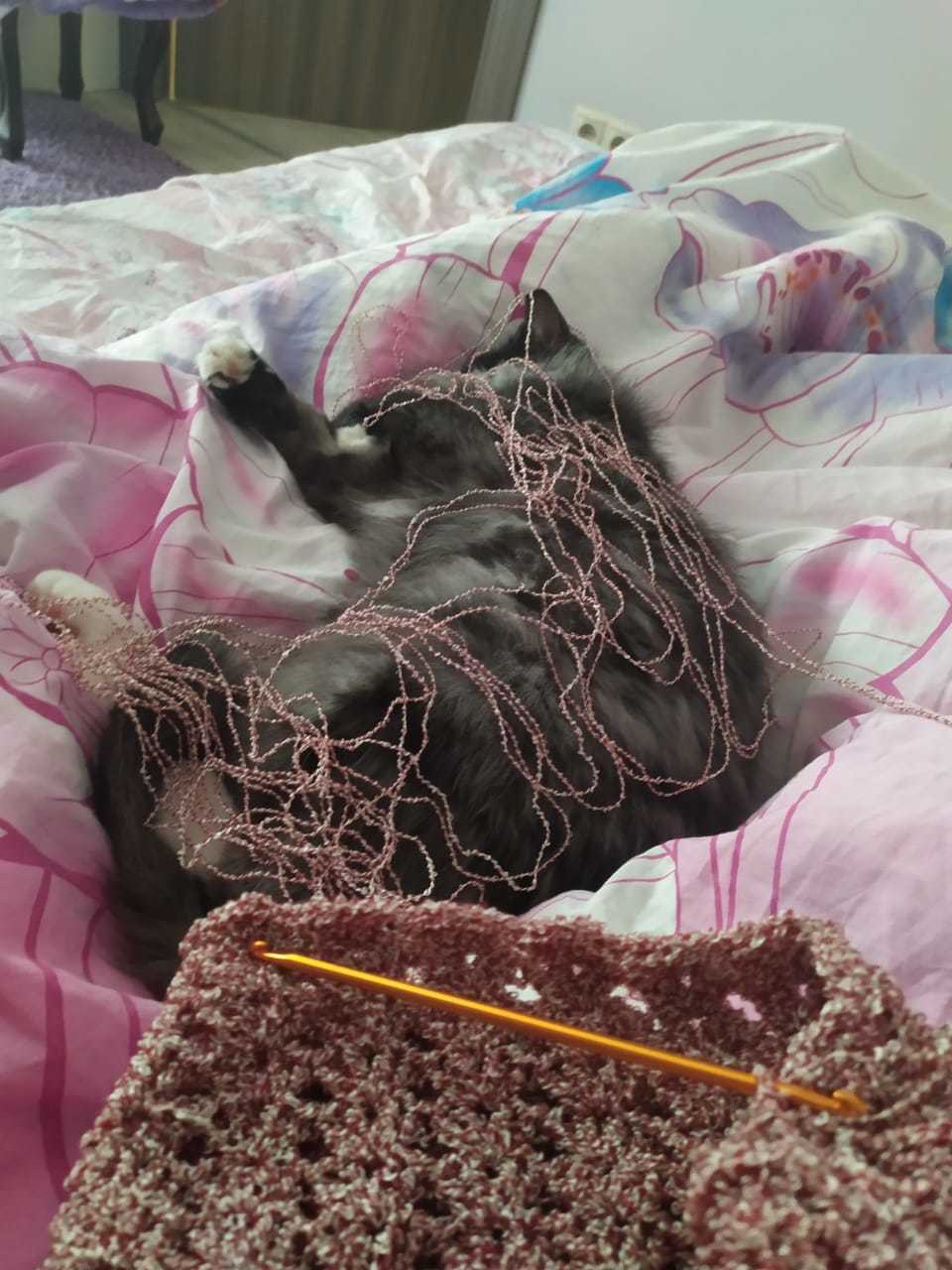 The bullshit was tied up. Remake! And wake me up when you're done - My, cat, Yarn, The photo, Hooliganism, Dream