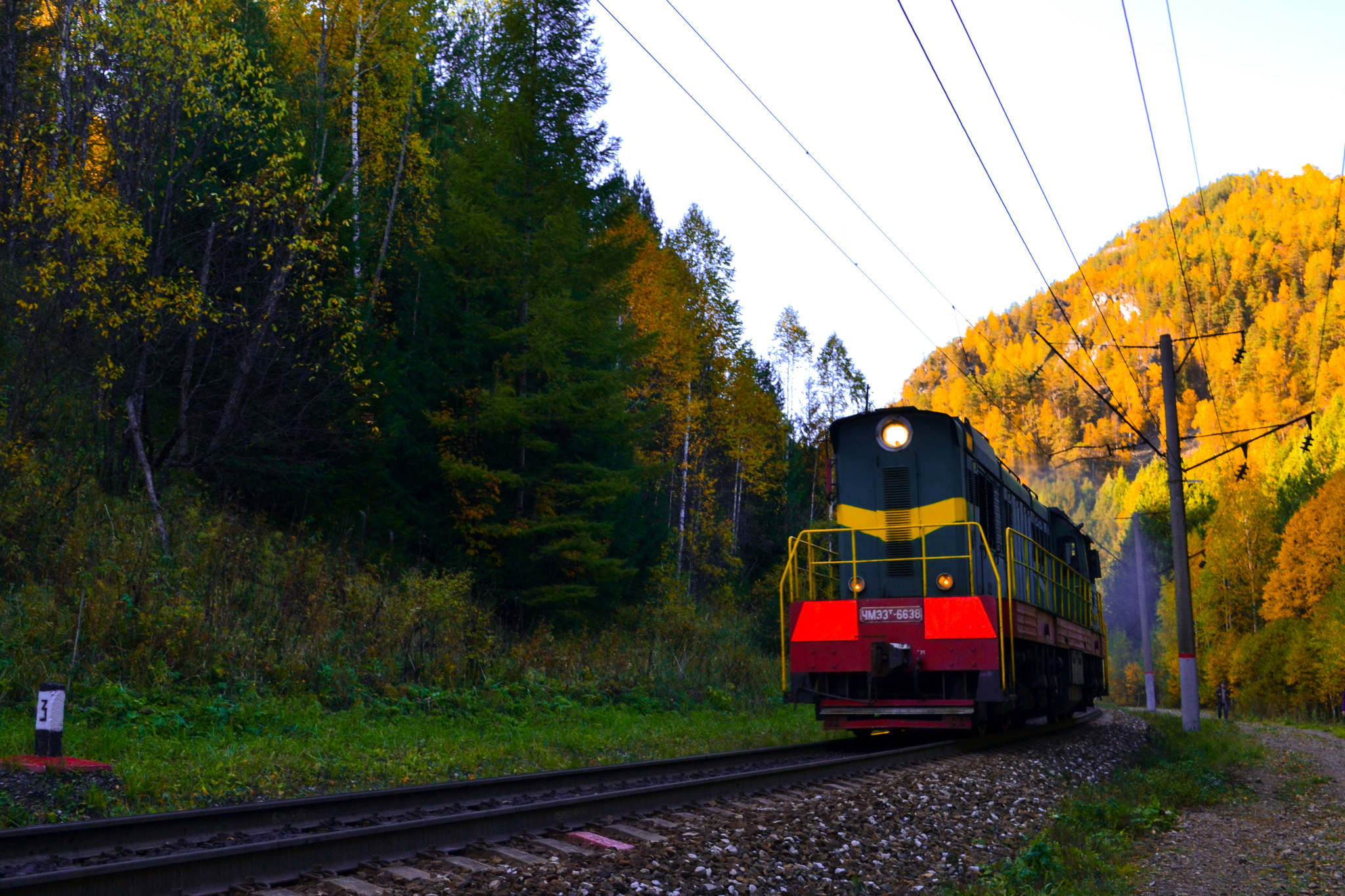 A little more autumn atmosphere - My, Autumn, A train, Orange, Longpost, Birch, Autumn leaves, Nature