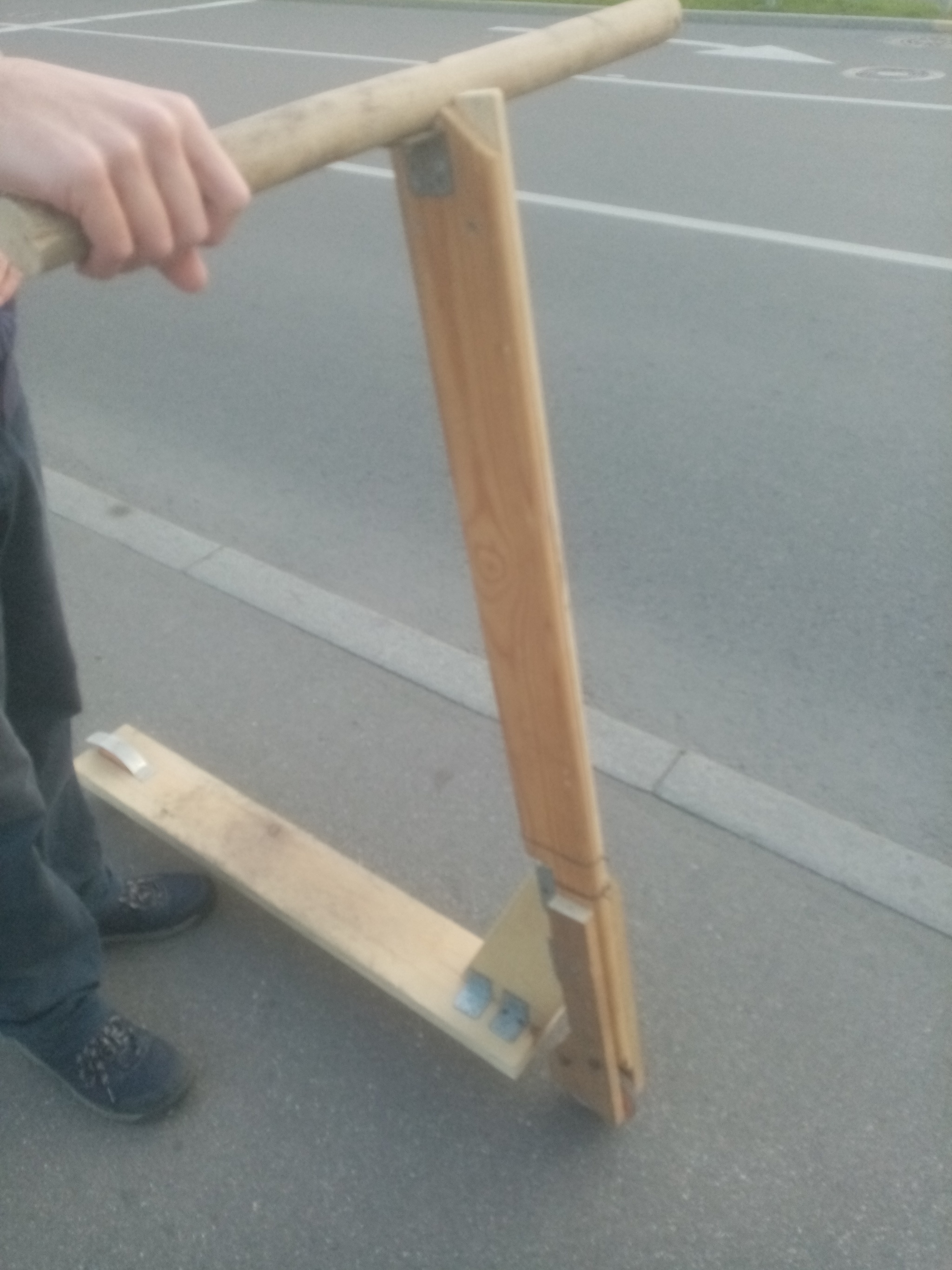 Экологически чистый самокат | Пикабу