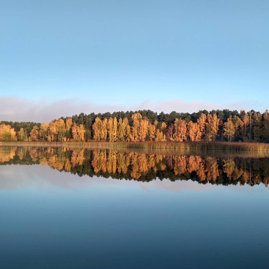 Осенняя звуковая дорожка - Моё, Фотография, Осень, Звук