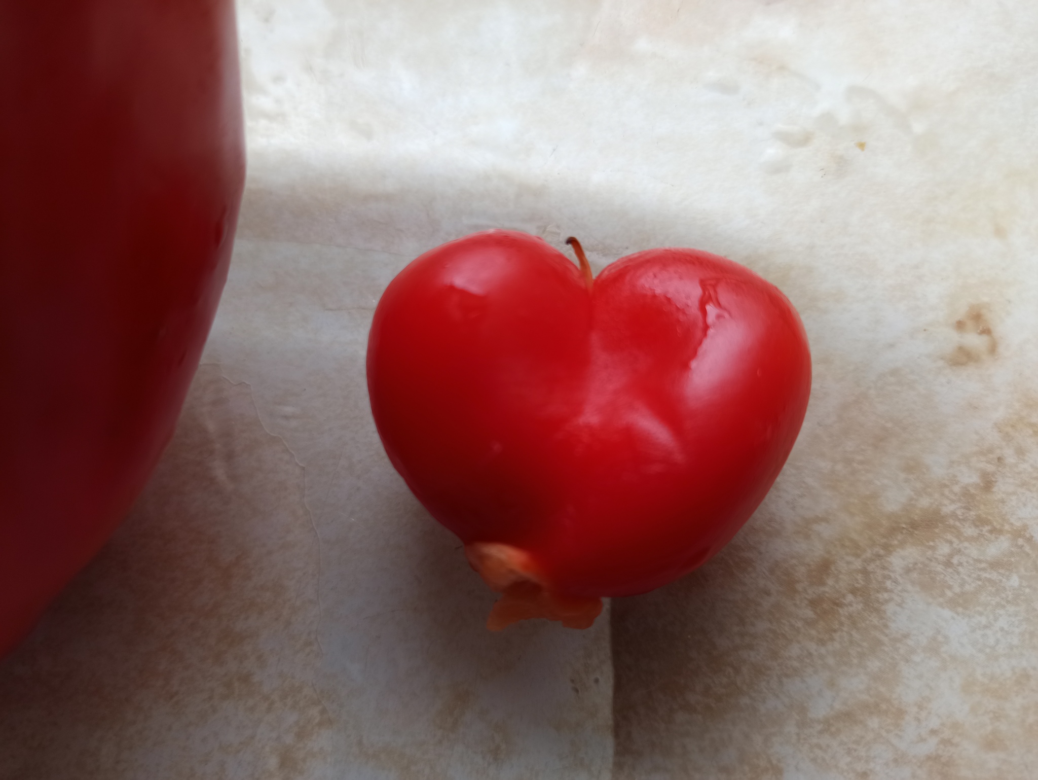 Pepper heart - My, Pepper, Heart, Vegetables, Longpost