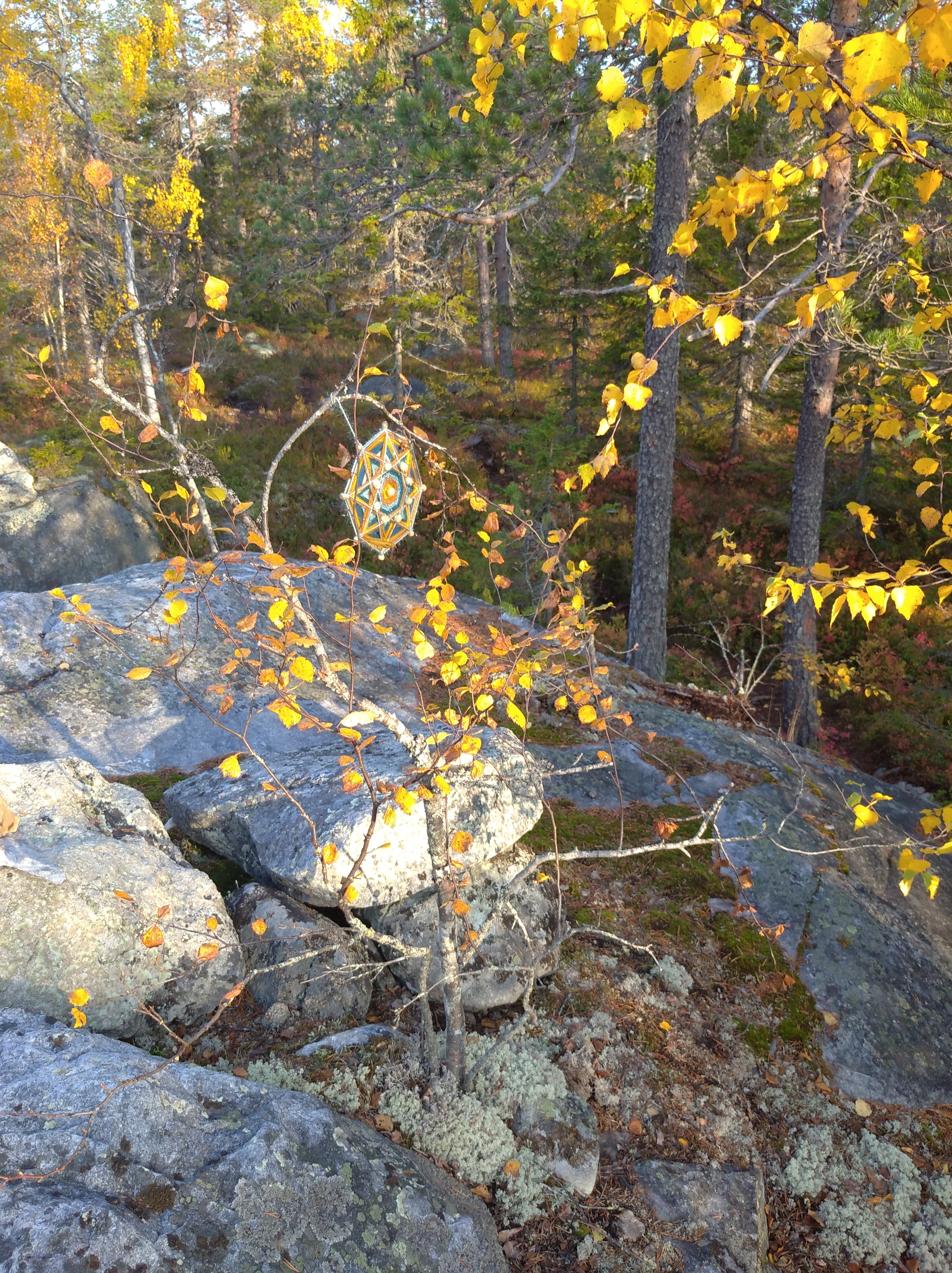 Autumn Karelia - My, Карелия, Here's the product, The rocks, Ladoga lake, The nature of Russia, Autumn, Longpost, Nature