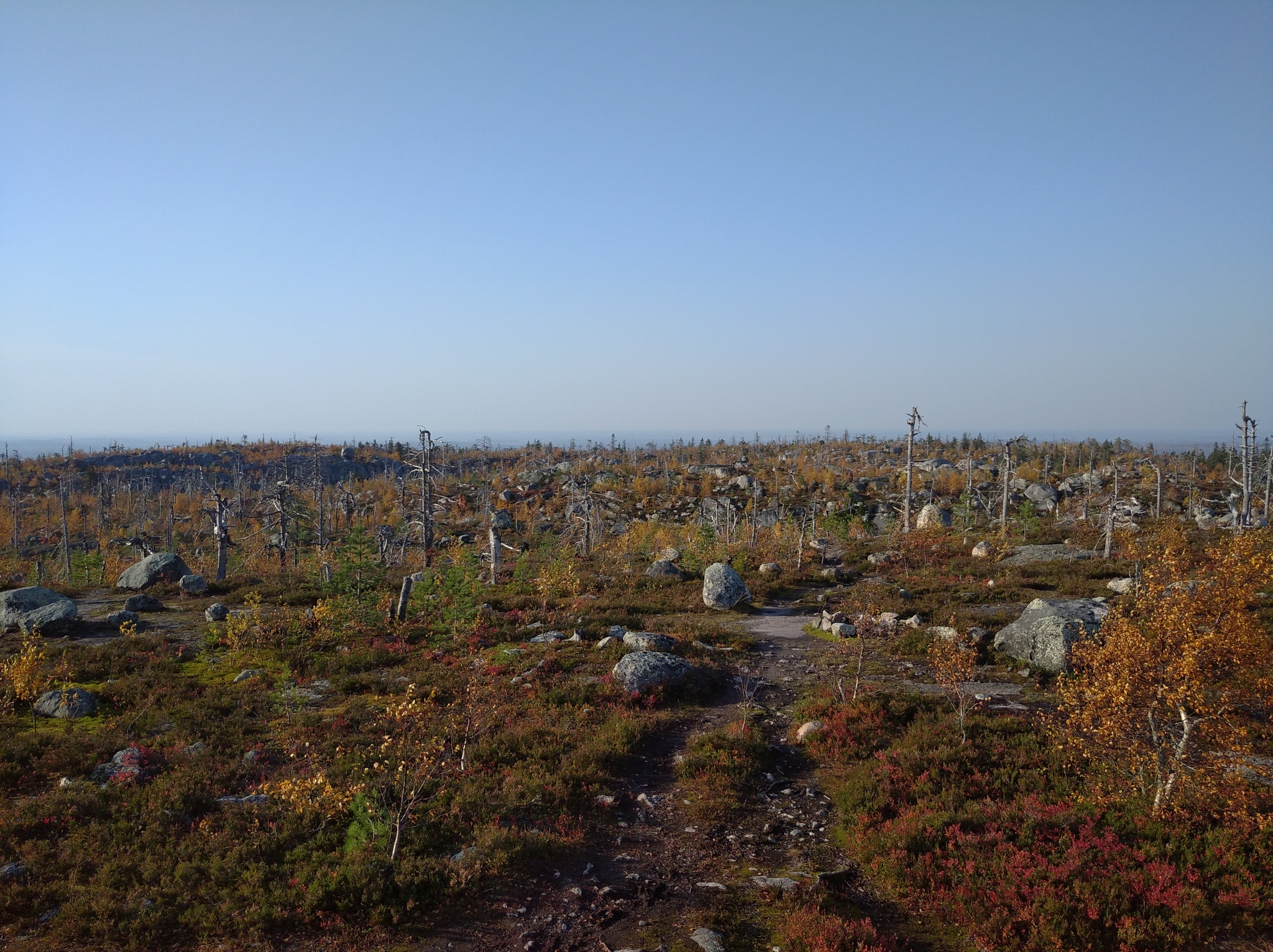 Autumn Karelia - My, Карелия, Here's the product, The rocks, Ladoga lake, The nature of Russia, Autumn, Longpost, Nature