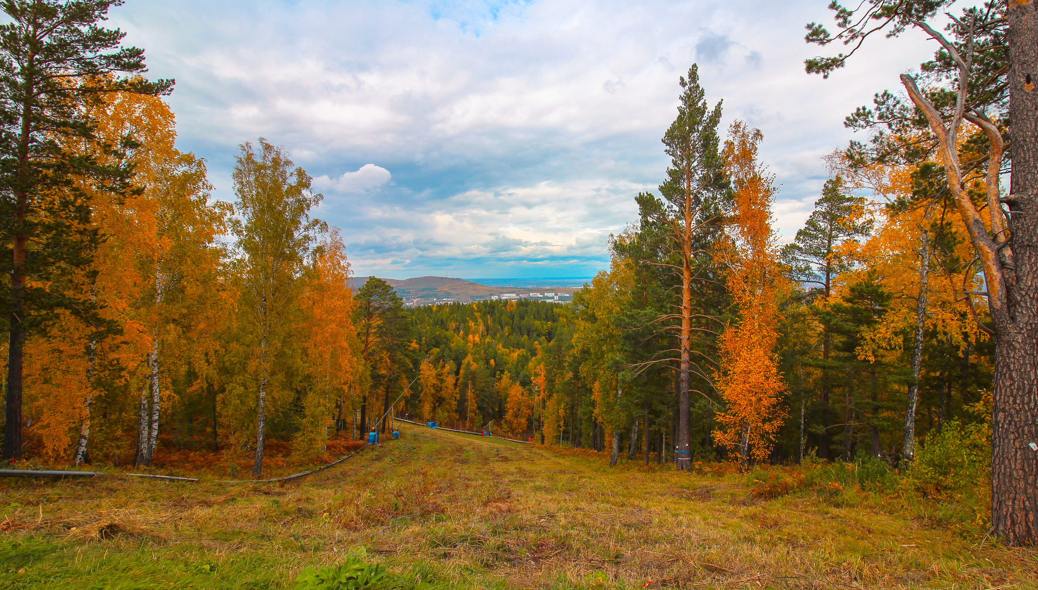 Autumn in the Krasnoyarsk Pillars National Park - My, Autumn, Krasnoyarsk, Krasnoyarsk region, Nature, Chipmunk, Forest, Town, Siberia, Longpost