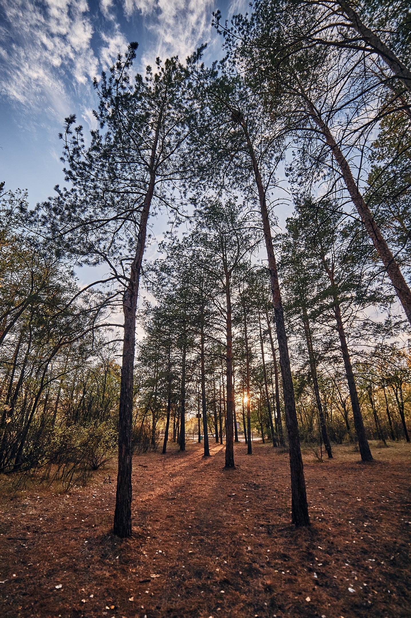 Autumn sketches - My, Kazakhstan, Uralsk, Nikon, Landscape, The photo, Longpost